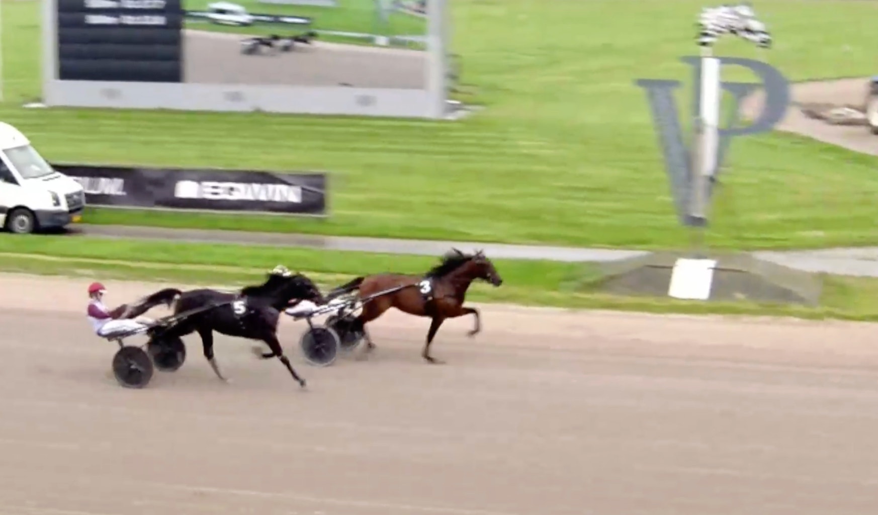 Två travhästar med sulkyer i tävling på travbanan i Wolvega.