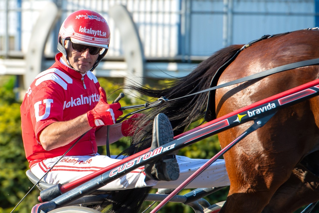 Peter Untersteiner kör Toto Barosso i Tyskt Travderby på söndag. Foto: Mikael Rosenquist, ALN