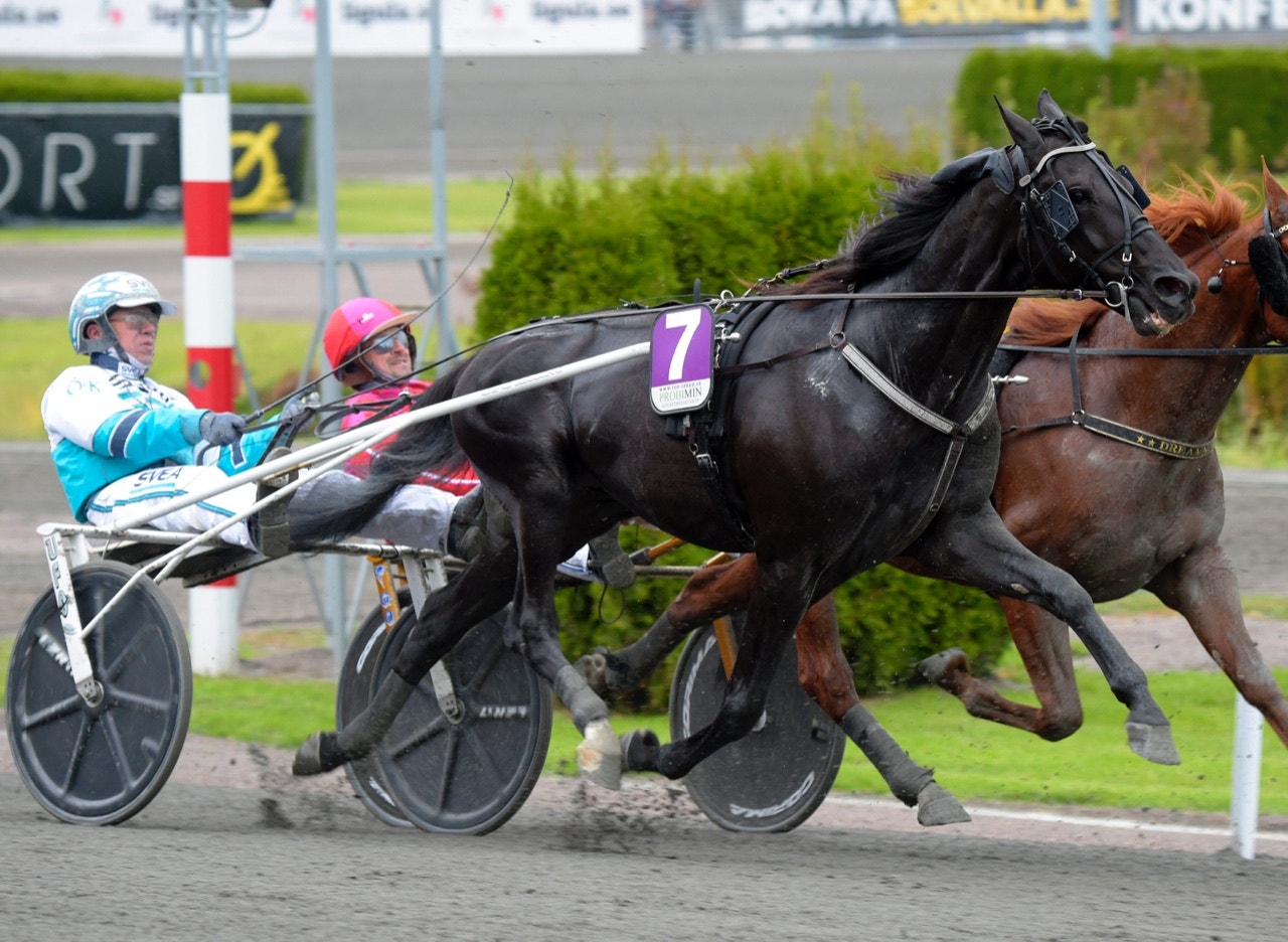 Sorbet gör första starten sedan Elitloppet i Årjängs Stora Sprinterlopp - Foto: ALN