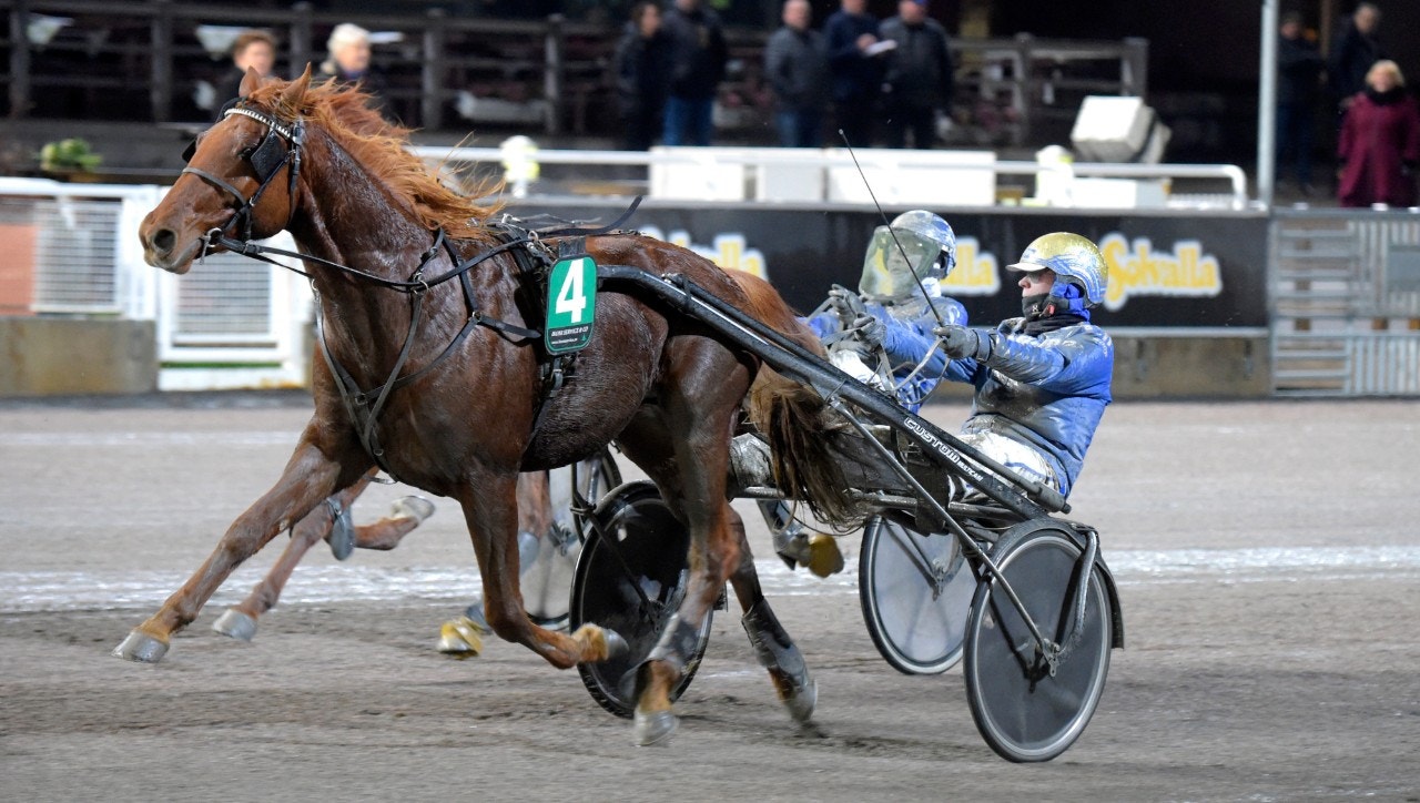 Henry Rorgemoen-tränade Custom Cheval fick äntligen njuta segerns sötma. Foto: Martin Langels, ALN