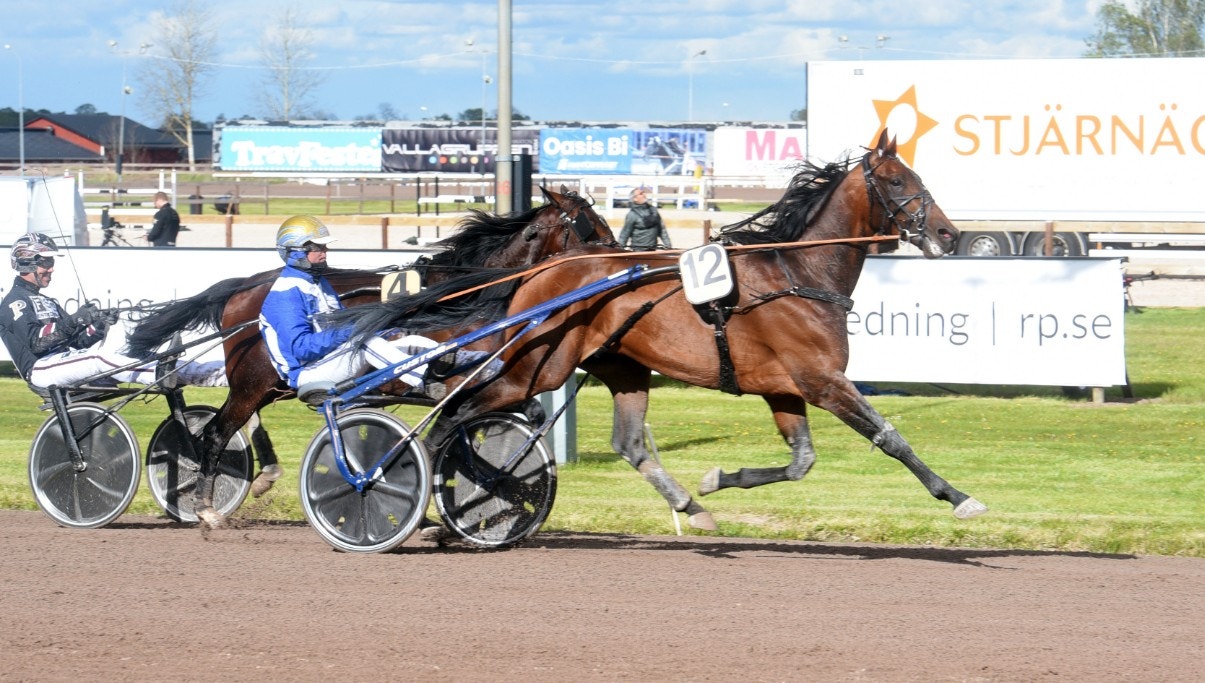 Ecurie D. gjorde det igen - imponerade stort i Ina Scots Ära. Foto: Magnus Strömsten, ALN