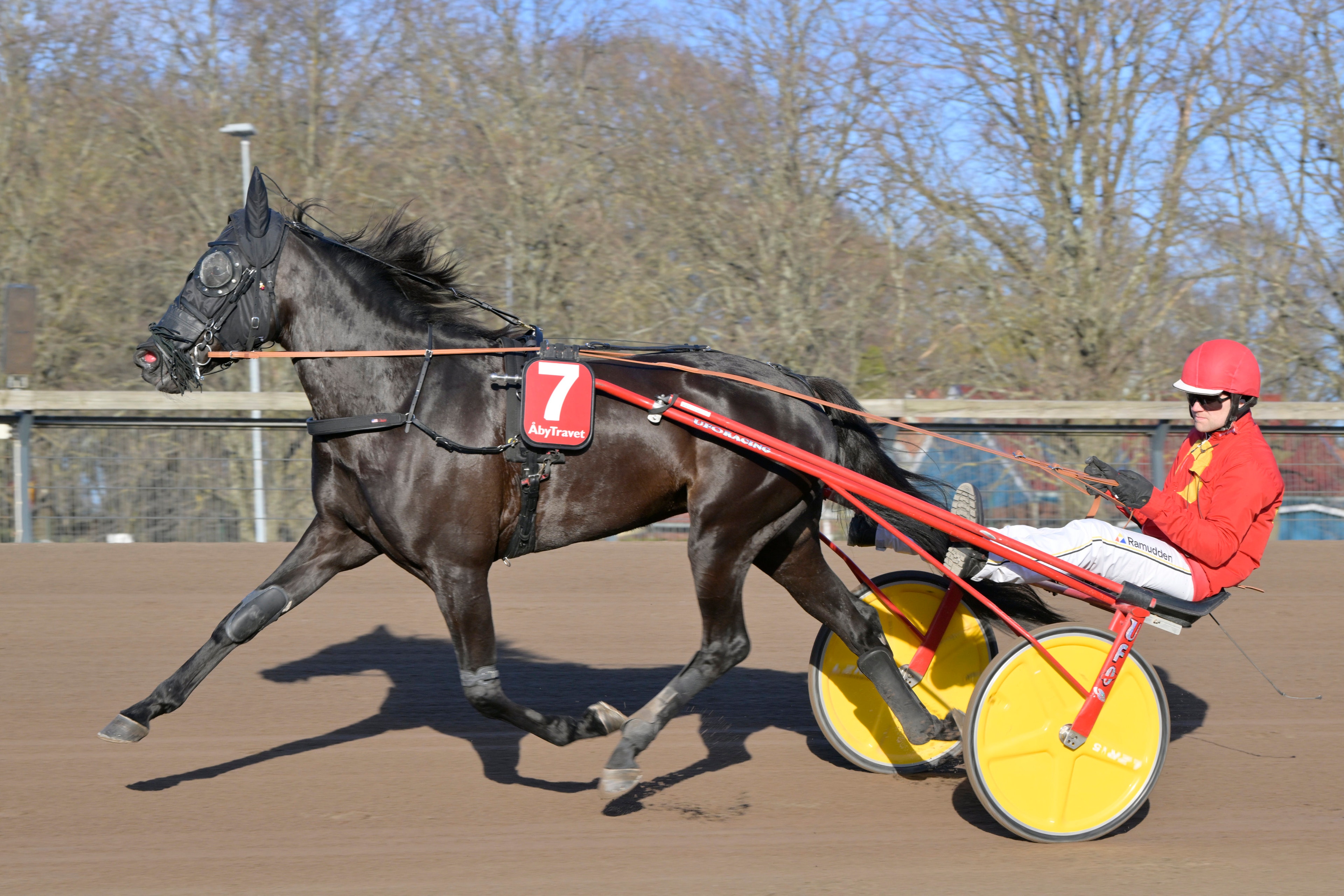 Inför V75: Favoritkollen Kapucine d'Inverne