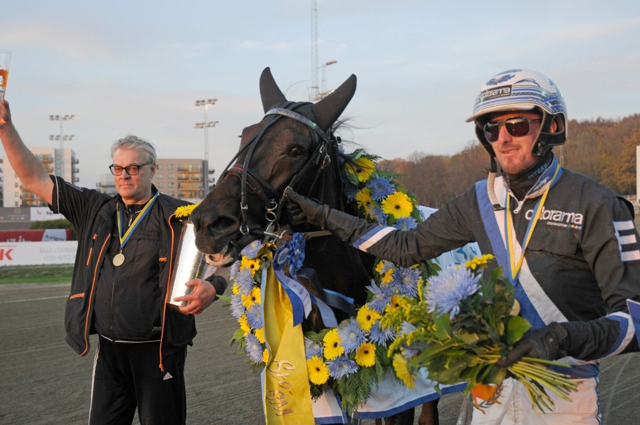 Cash Crowe är en av hästarna i Hallandsmästaren. Foto: Göran Lindskog, Sidmakarn/ALN