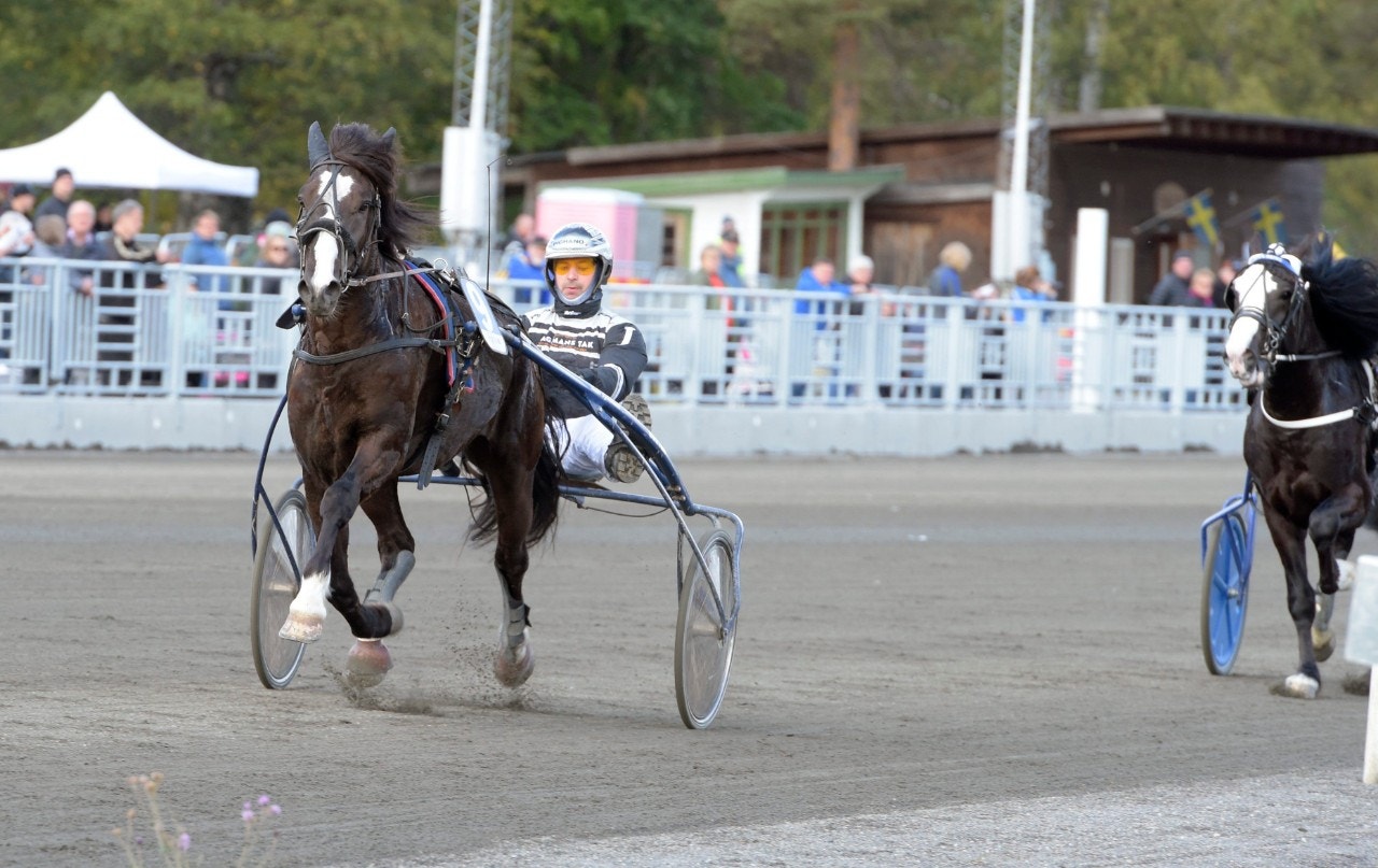 Blir det Vincennes för Ängsborken? Foto: Leif Norberg, ALN