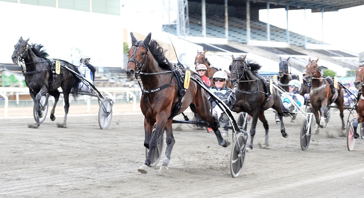 Hail Mary vinner Derbyt i år. Ett lopp som alltid ingår i Premiechansen. Foto: Jörgen Tufvesson, ALN
