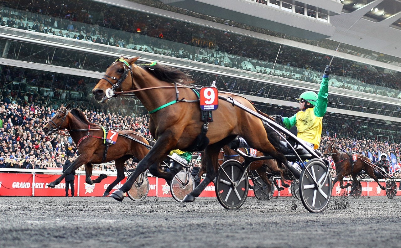Face Time Bourbon behöver inte möta Cleangame i nästa års Prix d'Amérique. Foto: Elliott Chouraqui, Scoop Dyga/Bildbyrån