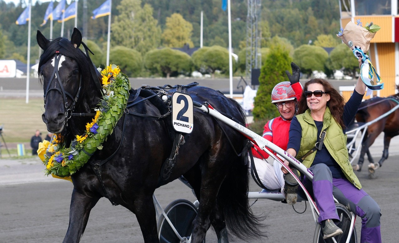Svenske mästaren Månlykke A.M. gör årsdebut. Foto: Hanold, ALN