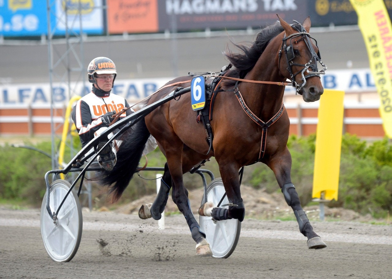 Tips Umåker 6 september: En Dunder-vinnare på hemmaplan