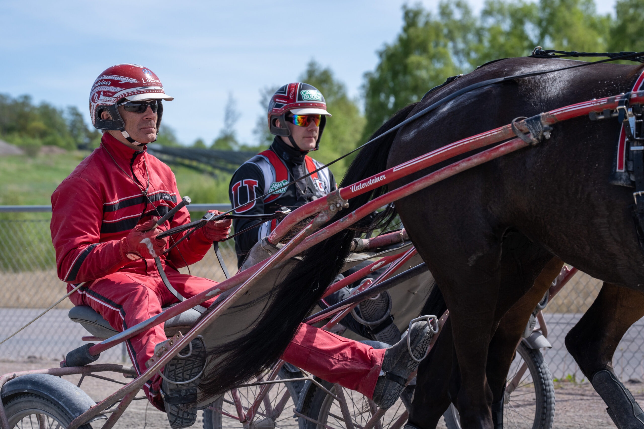 Två personer i röda tävlingskläder och hjälmar sitter i en sulky dragen av en svart häst på en travbana.