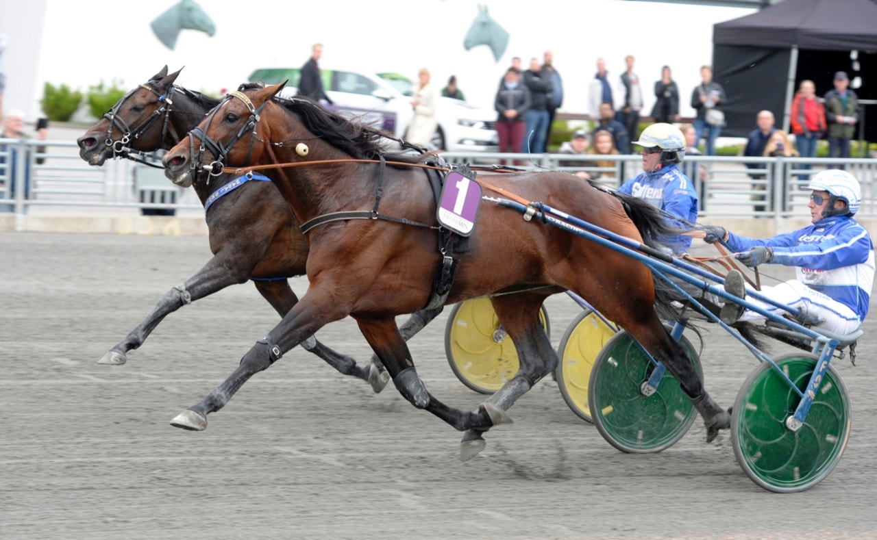Global Trustworthy och Nadal Broline bjöd på rejäl duell senast och båda startar nu i SM - Foto: ALN