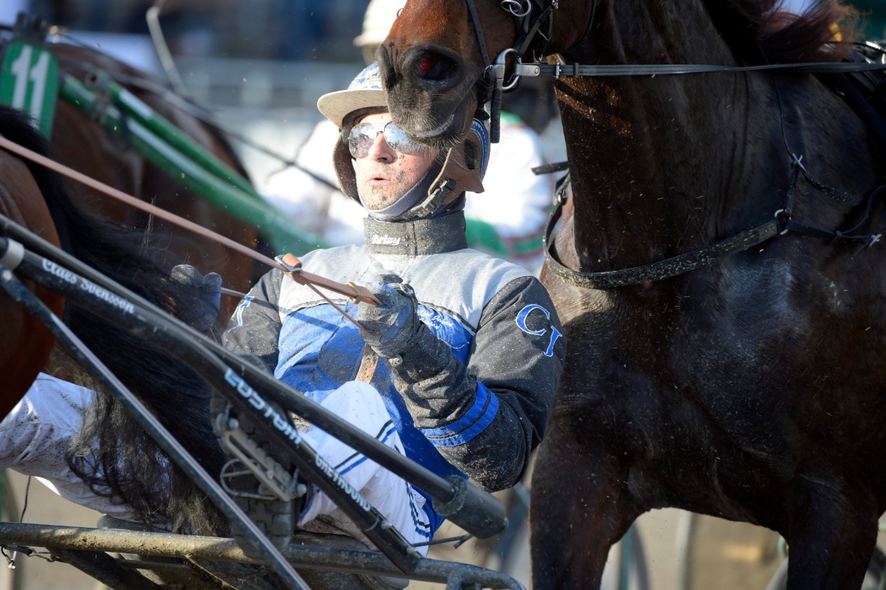 Bjerke 16 november: Red Bar är bästa vinnaren