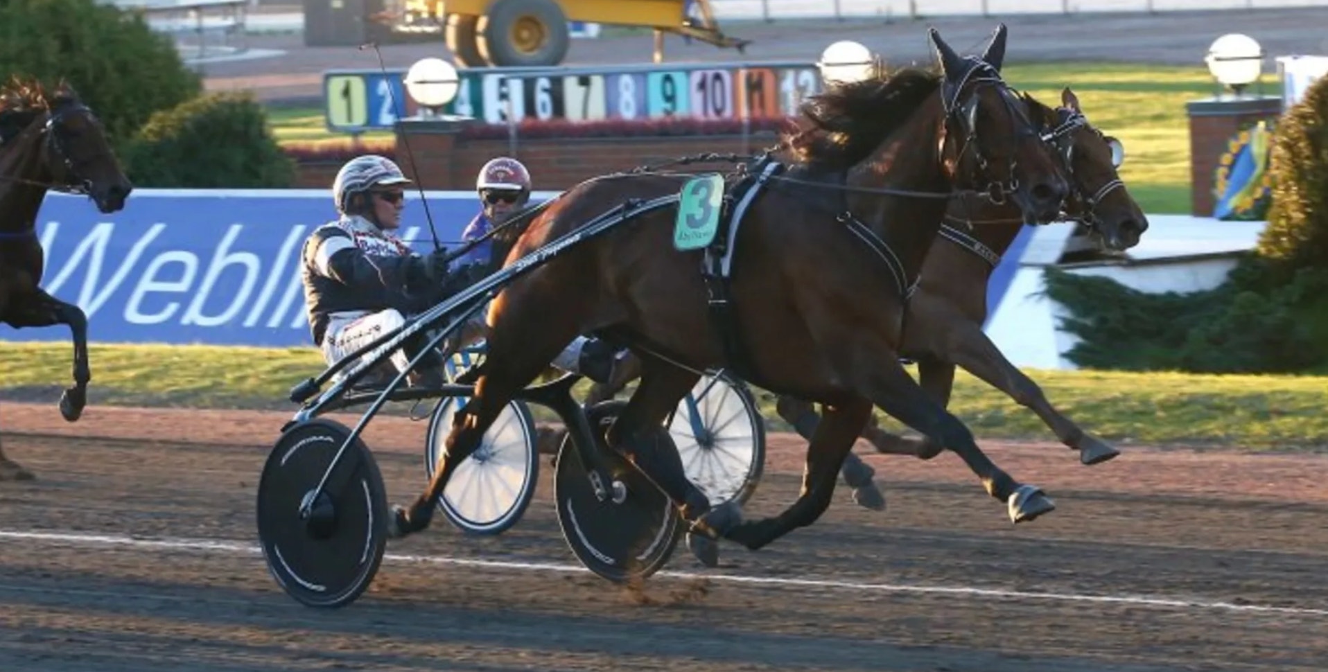 Toppstoet gick bort vid fölning 