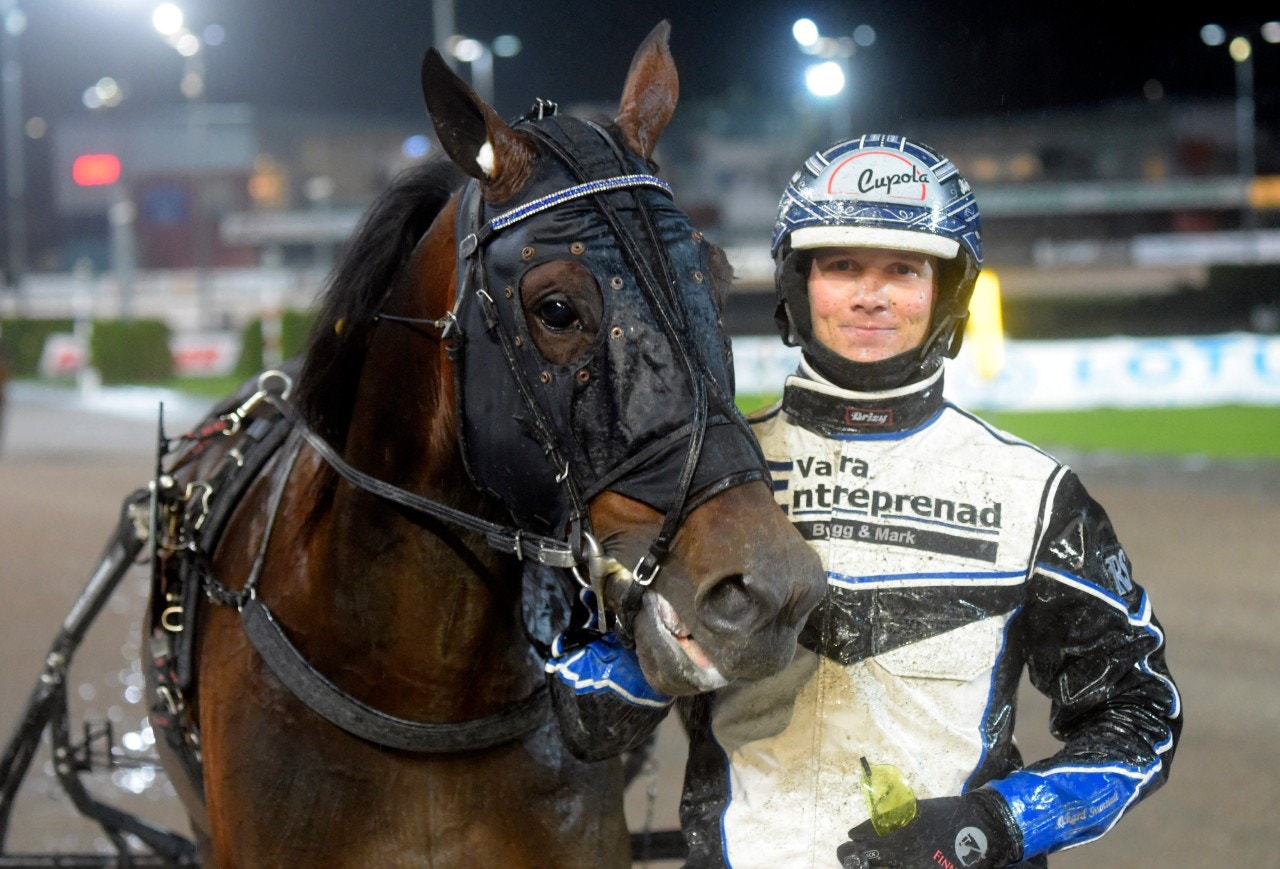 Baron Gift är en av hästarna som bjudits in till Prins Daniels lopp. Foto: Martin Langels, ALN