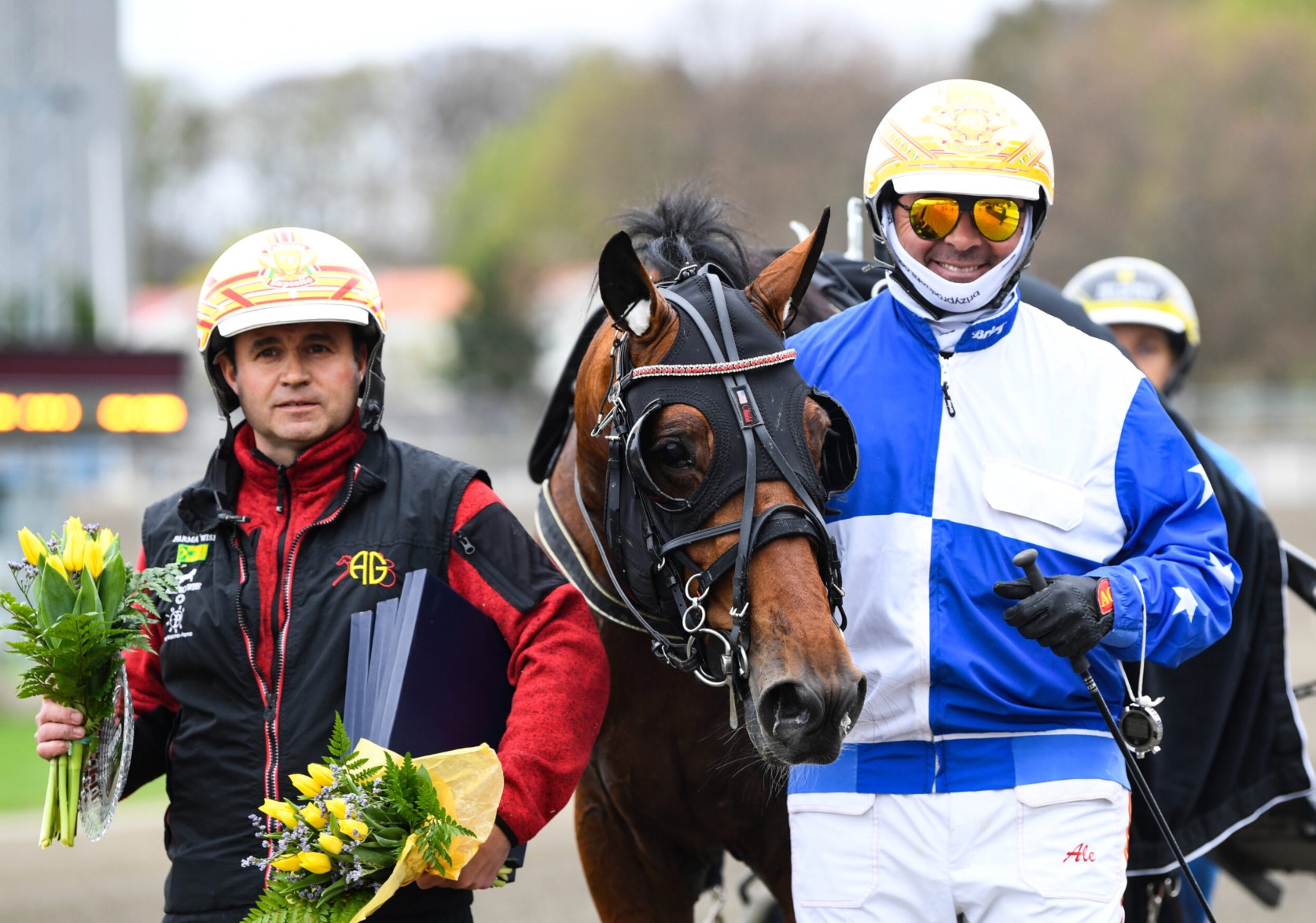 En kuskar i blå och vit racing-outfit leder en mörkbrun häst på en travbana. Bredvid går en person i svart och röd jacka som håller en bukett med gula blommor.