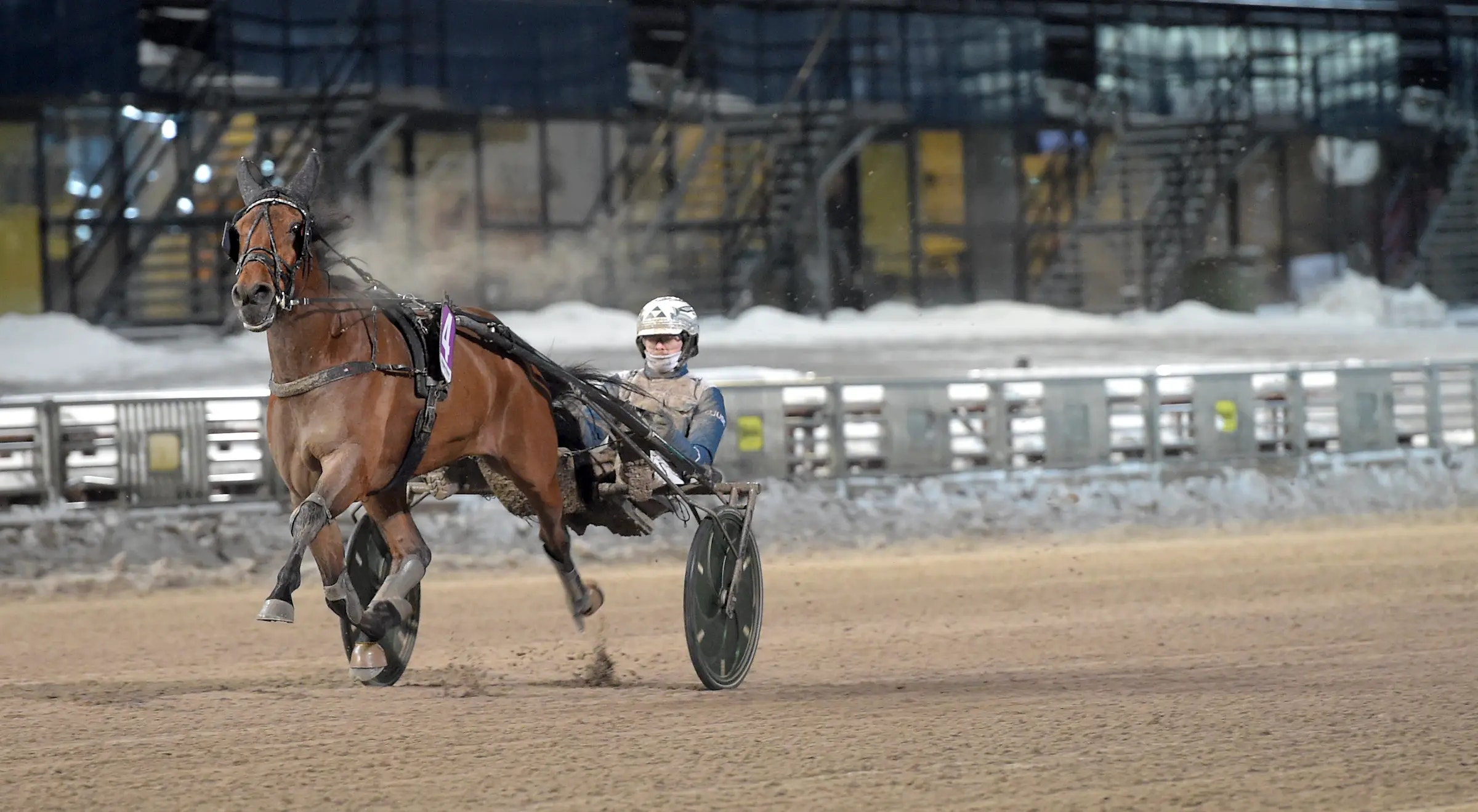 Erik the Phantom passerade miljonen isprunget när han på onsdagen utklassade motståndet på V86.
Foto: Lars Jakobsson/TR Bild