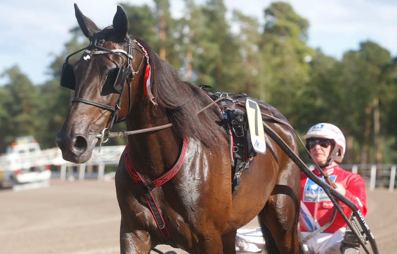 Charrua Forlan med sin tränare Hans-Owe Sundberg. Foto: Hanold, ALN