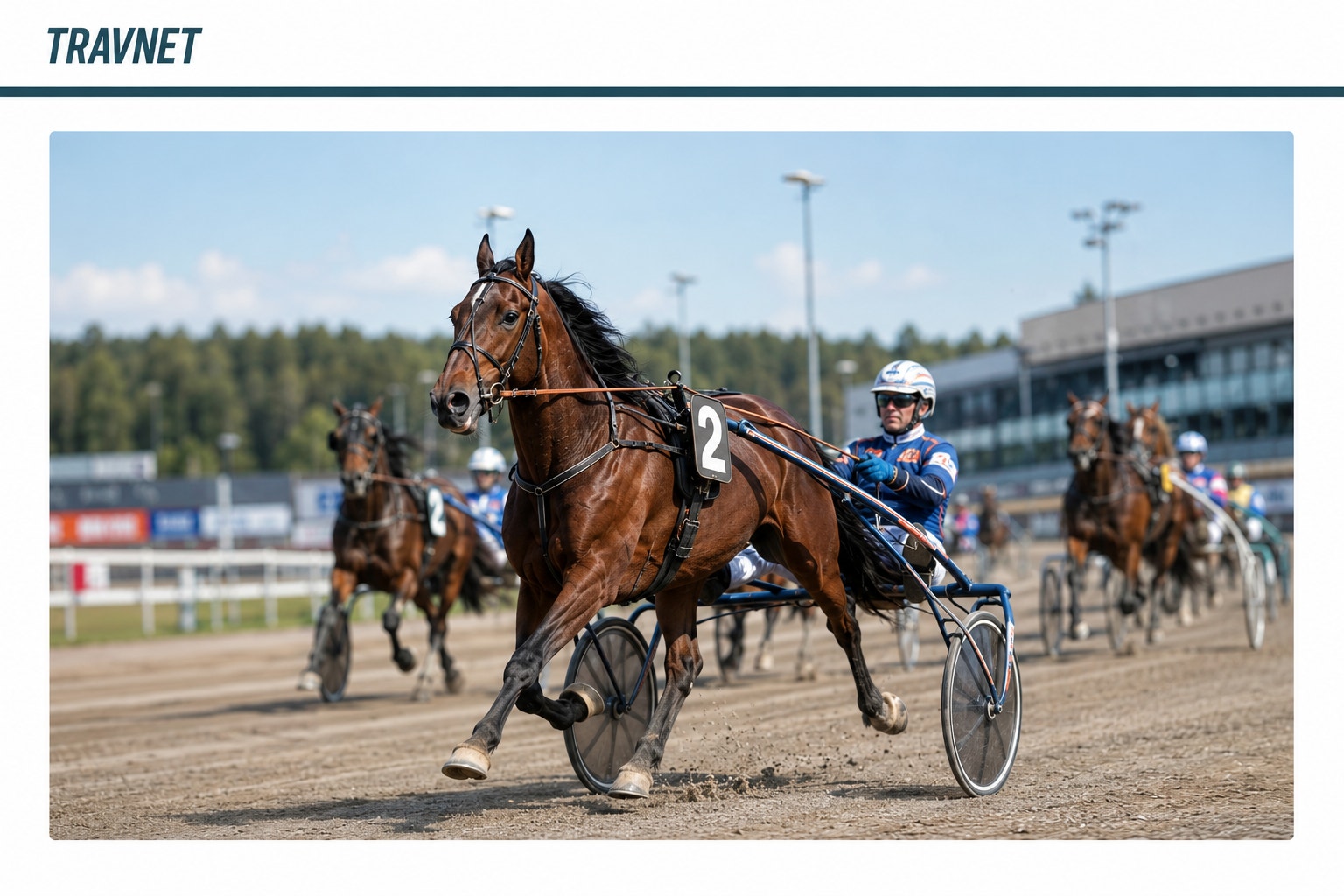 En brun häst med kuskar i blå och vit tävlingsdräkt kör i travlopp på en sandtrack. Flera andra hästar och kuskar syns i bakgrunden på travbanan.
