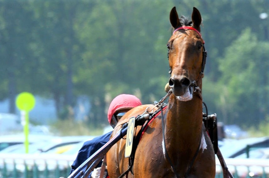 Aubrion du Gers ser ut att möta Bold Eagle i La Capelle på söndag. Foto: Gerard Forni, Scoop Dyga
