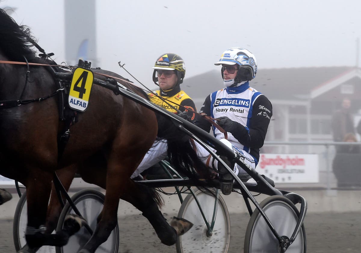 Magnus A Djuse