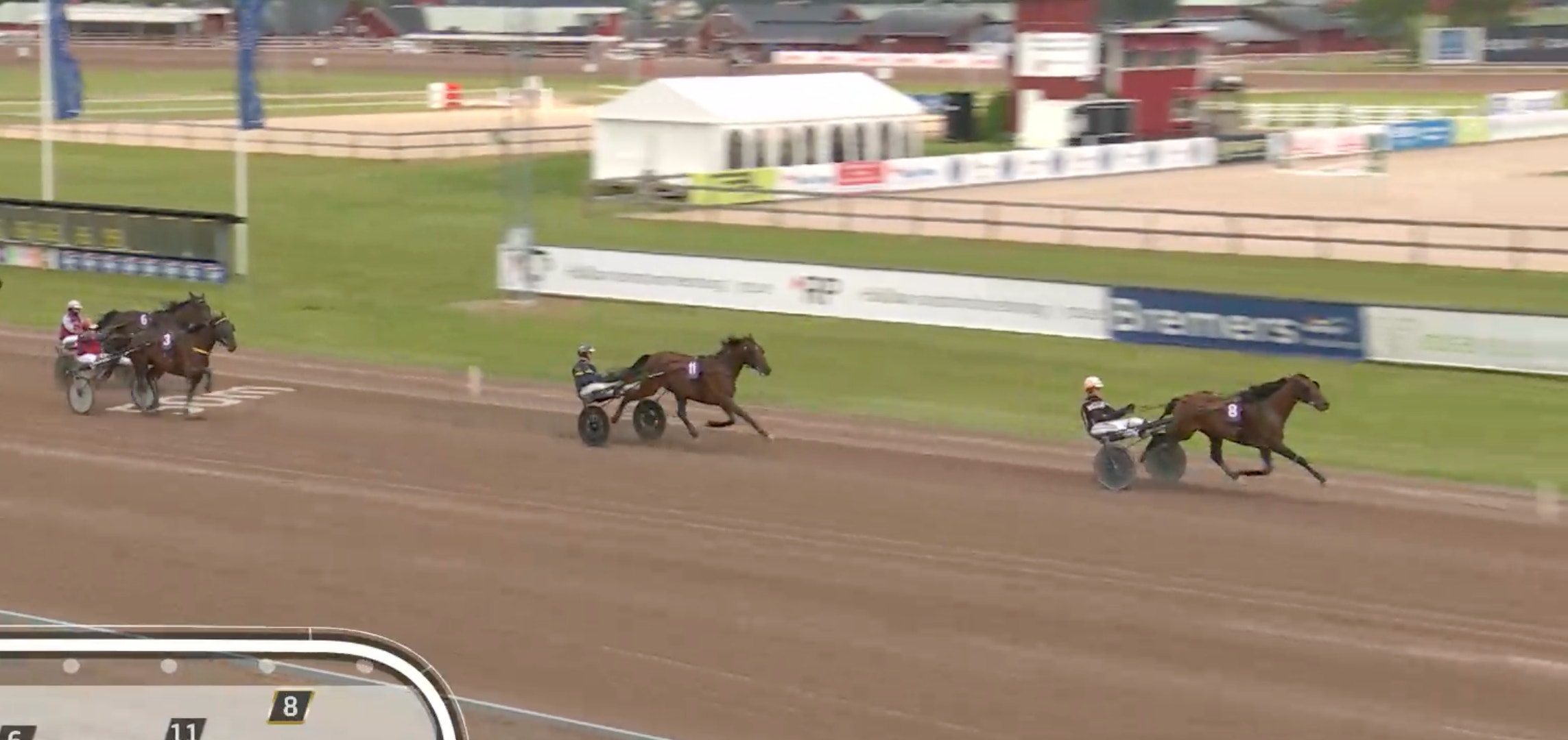 Tre travhästar med kuskar som tävlar på en sandtrack under ett lopp. Gröna gräsytor och vita staket syns i bakgrunden.