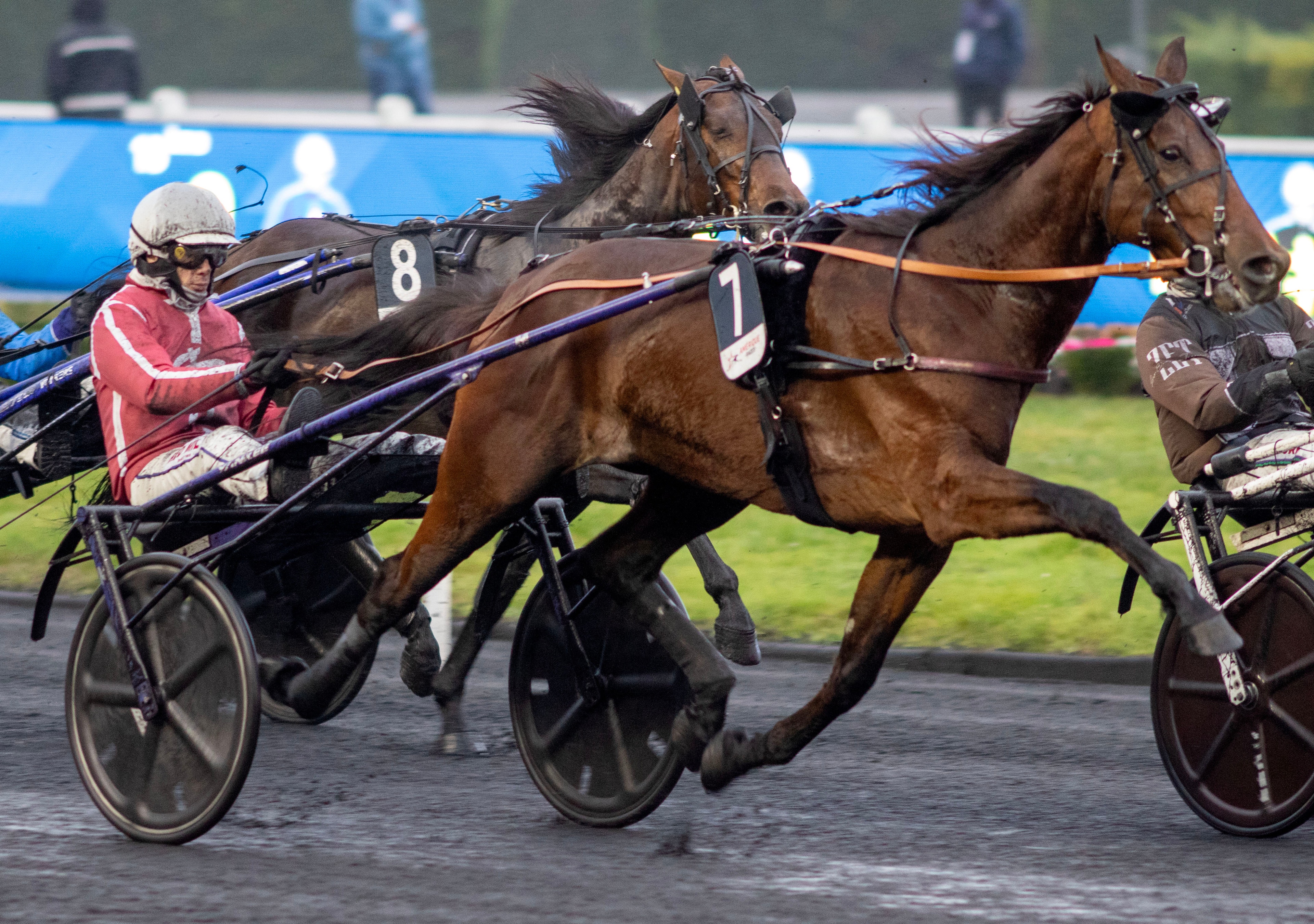 Han droppade rejält i odds efter Francescos besked