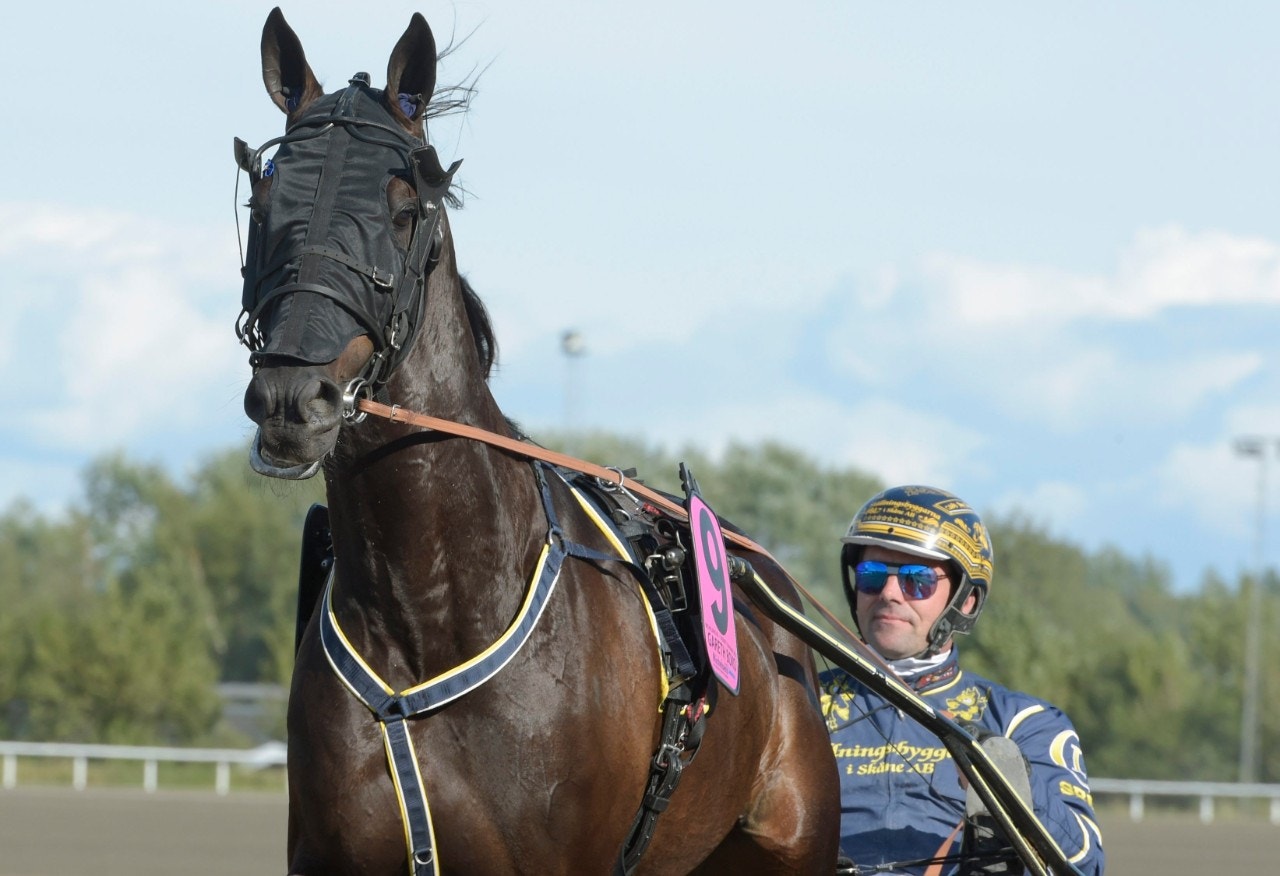 Storstilad comeback av Gareth Boko
