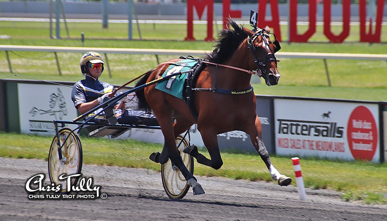 Intresset för Gimpanzees tjänster är stort. Foto: Chris Tully, christullytrot.com.