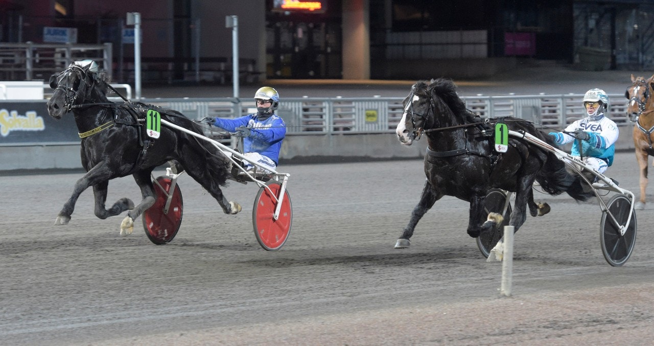 Våler Nikolai var grym vid segern senast. Foto: Leif Norberg, ALN