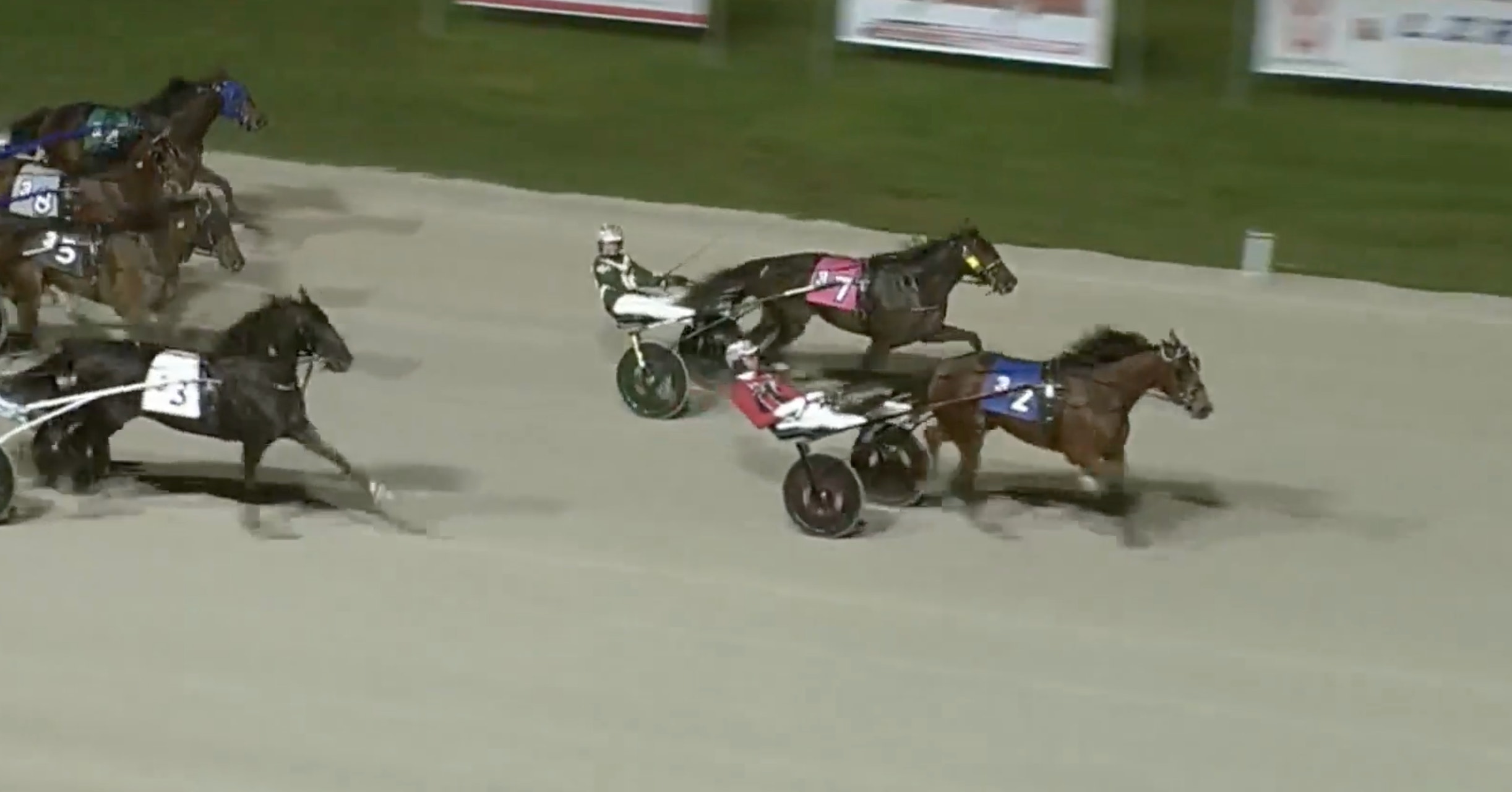 Svenskägt sto kan skriva historia i Breeders Crown
