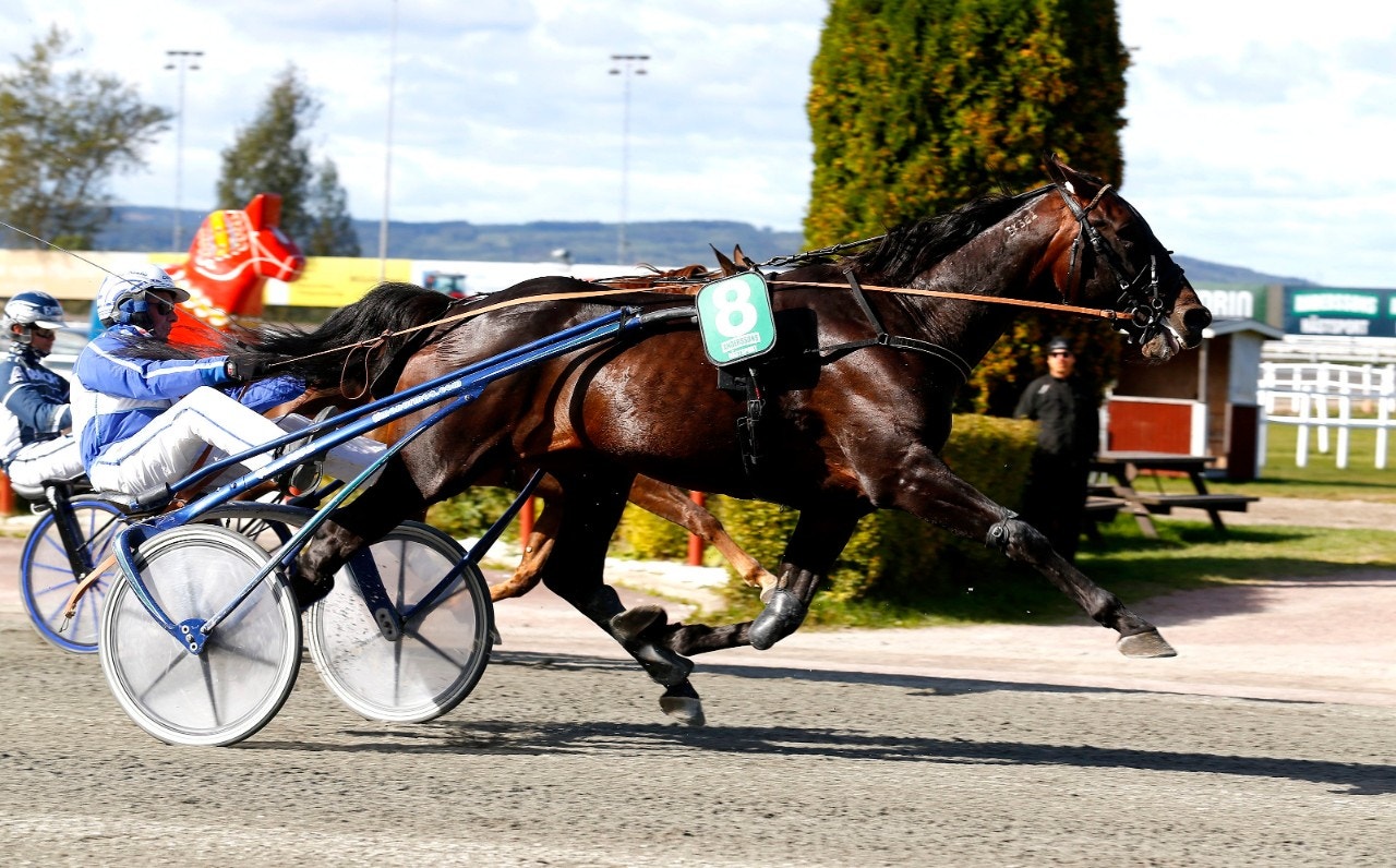 Solvalla 2 november: Guld i Brons för Win B. Hill