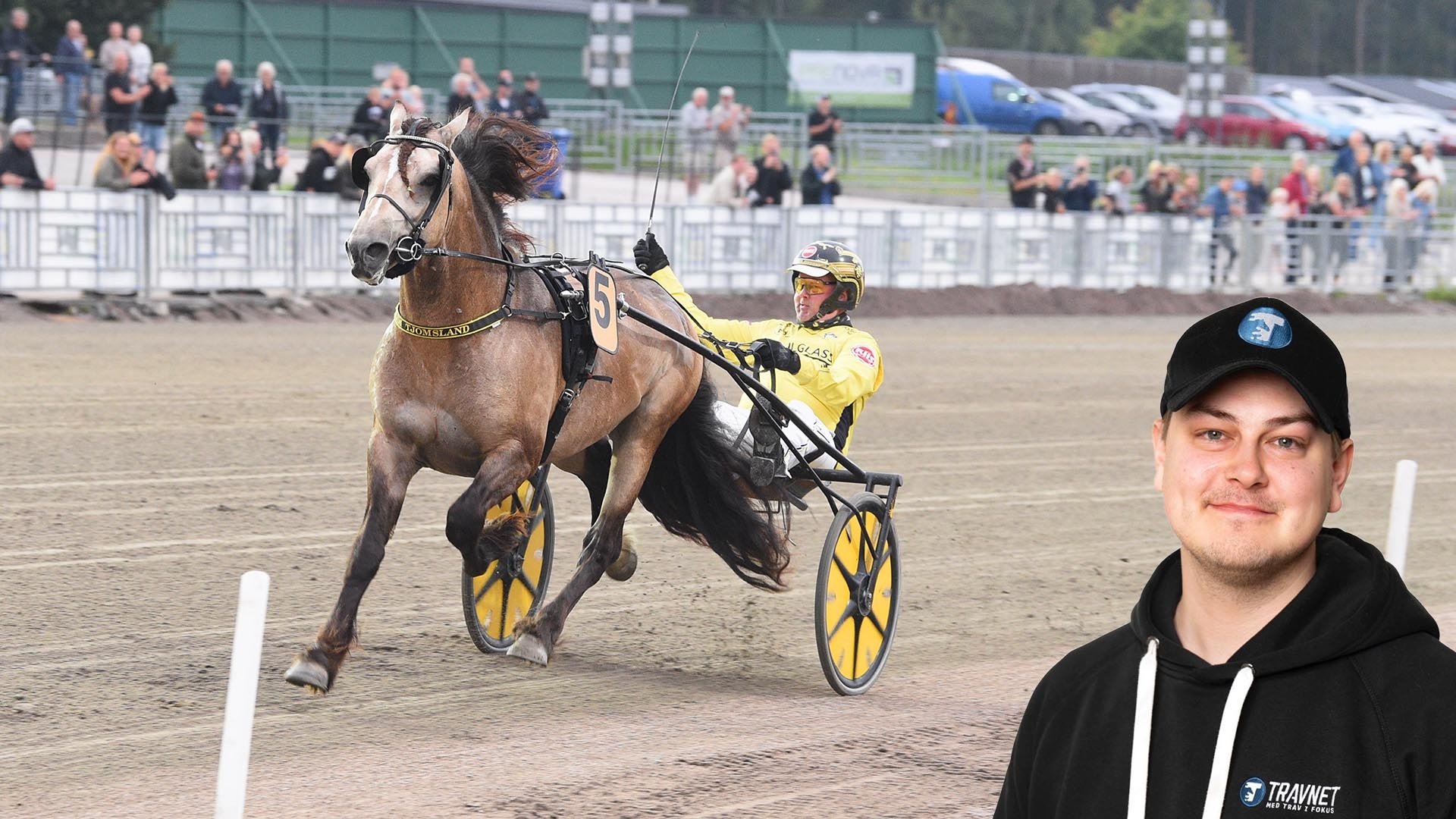 Tidiga tankar till V75 – "Han är kallblodskungen just nu"
