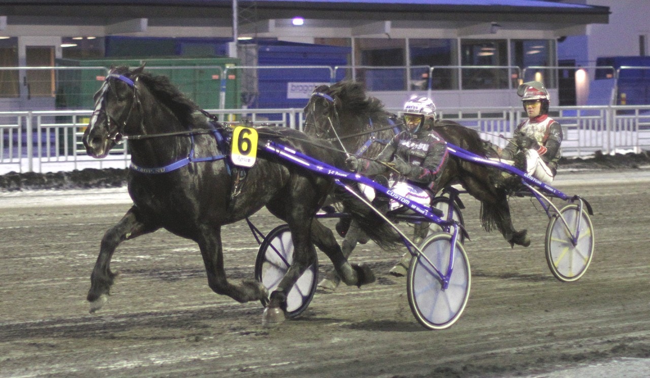 Eld Tekno vid en tidigare seger. Foto: Tom Jönehag, ALN