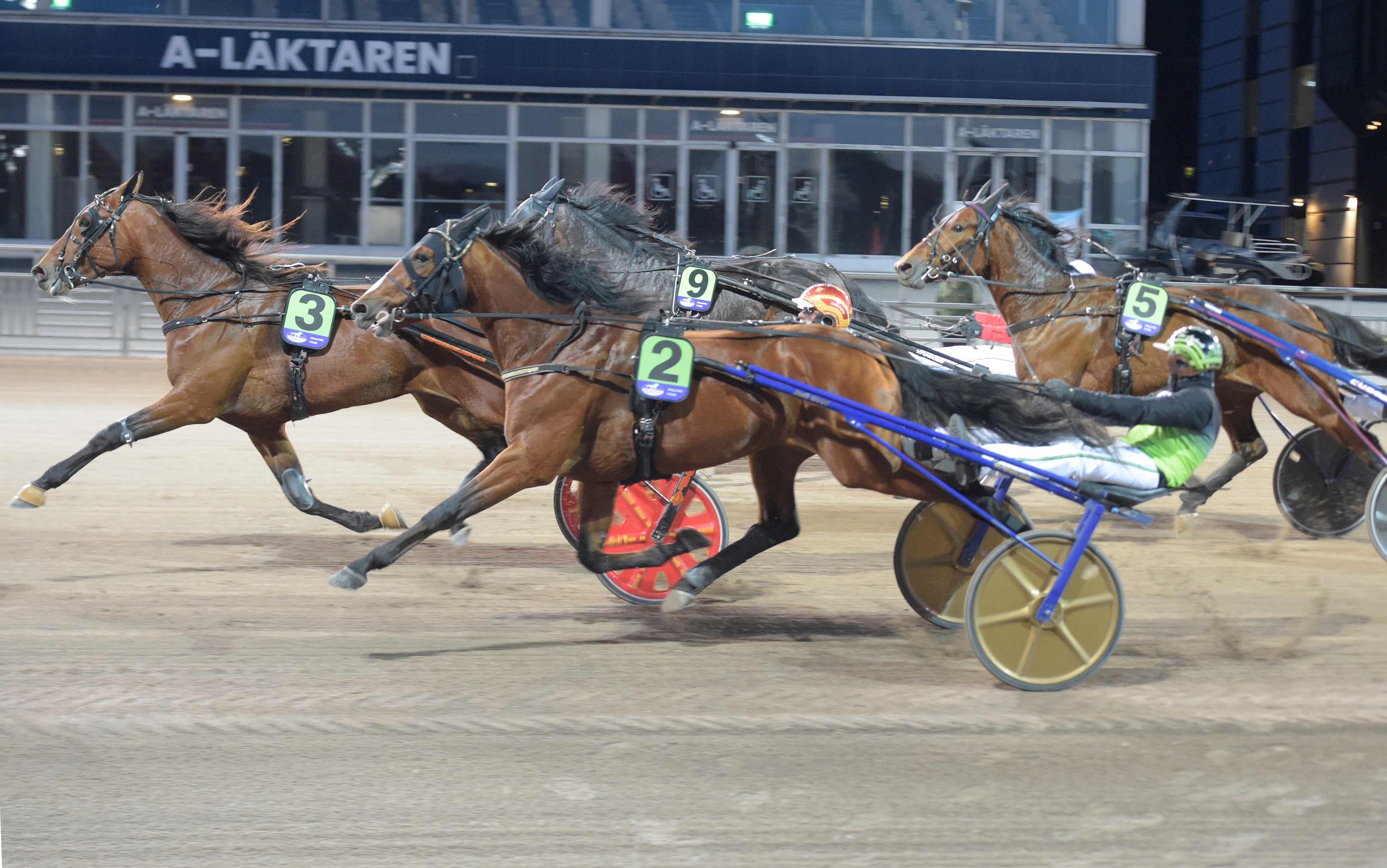 Gehlins V85-drag till tre procent: ”Kan leda runt om”