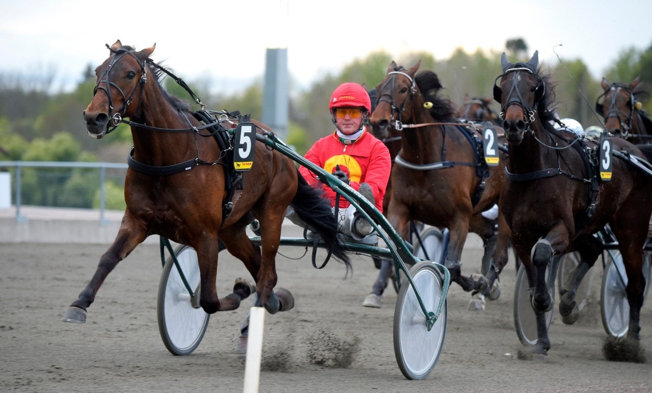Gardner Shaw - vår vinnare i Klass 2-finalen. Foto: Martin Langels, ALN