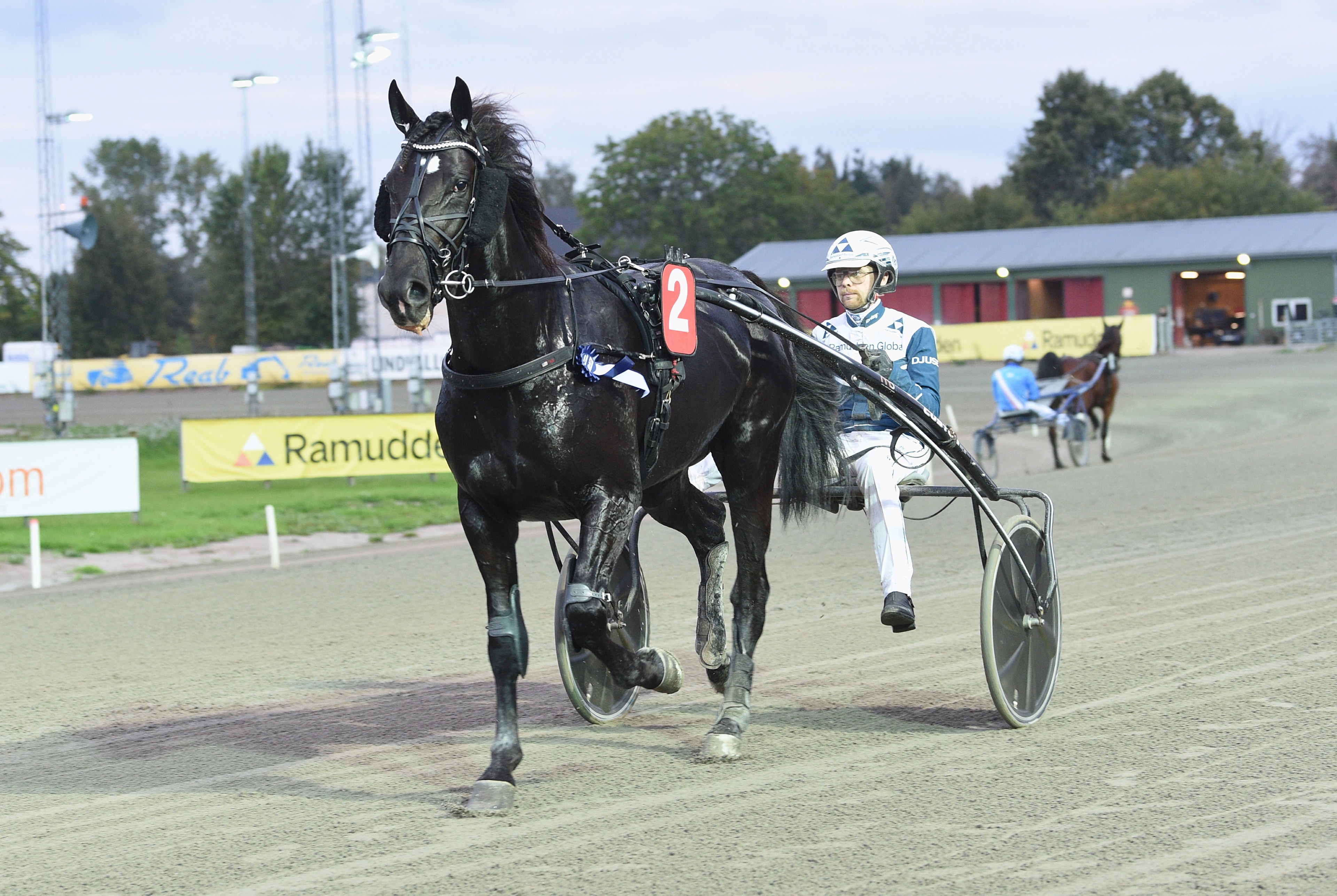 En svart travhäst med nummer 2 på sadeldynan travar på en travbana, med en kusk i blå och vit dress och hjälm sittande i sulkyn bakom. I bakgrunden syns fler hästar, reklamskyltar och träd.
Foto: ALN