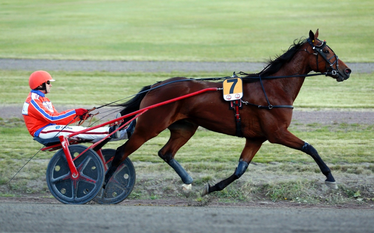 Heart Of Steel till Finlandia-Ajo