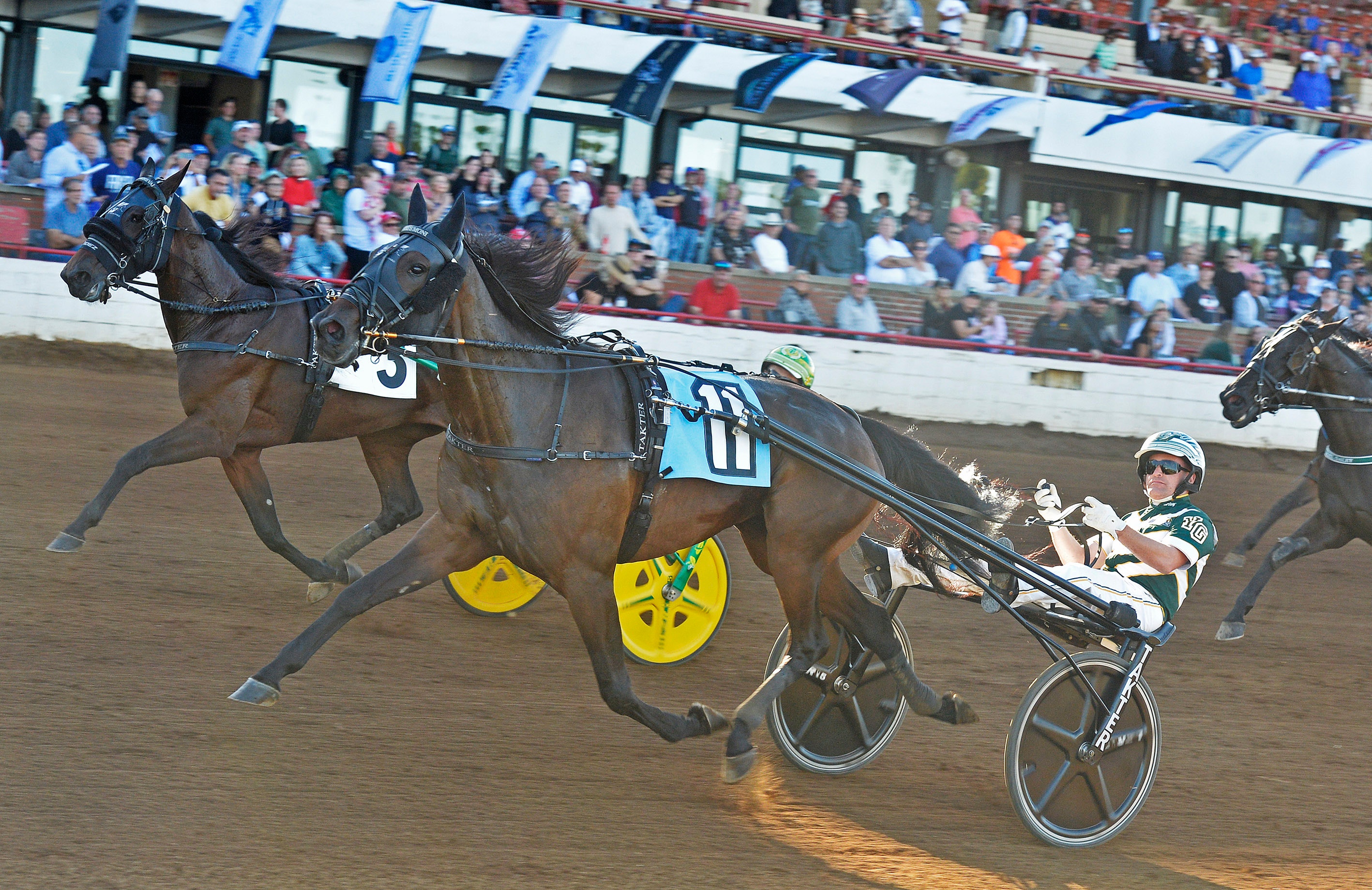 Travhästar i full galopp under ett lopp, med en kusk i sulky längst fram och publik i bakgrunden.