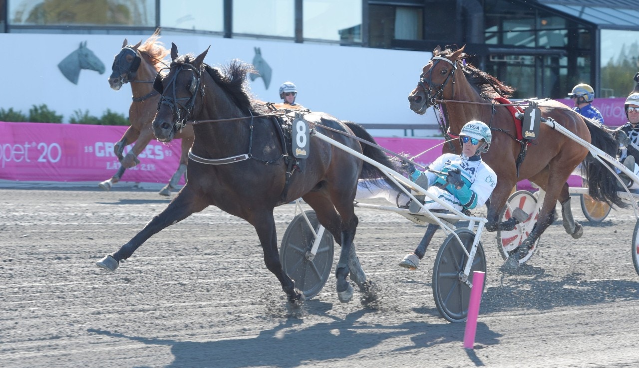 Don Fanucci Zet gör en mycket intressant årsdebut på Färjestad i påsk. Foto: Leif Norberg, ALN