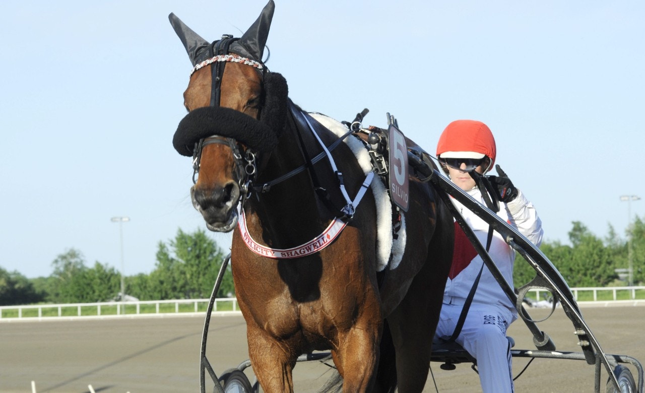 Felicity Shagwell kastar sig in i lejonkulan på Meadowlands. Foto: Jörgen Tufvesson, ALN