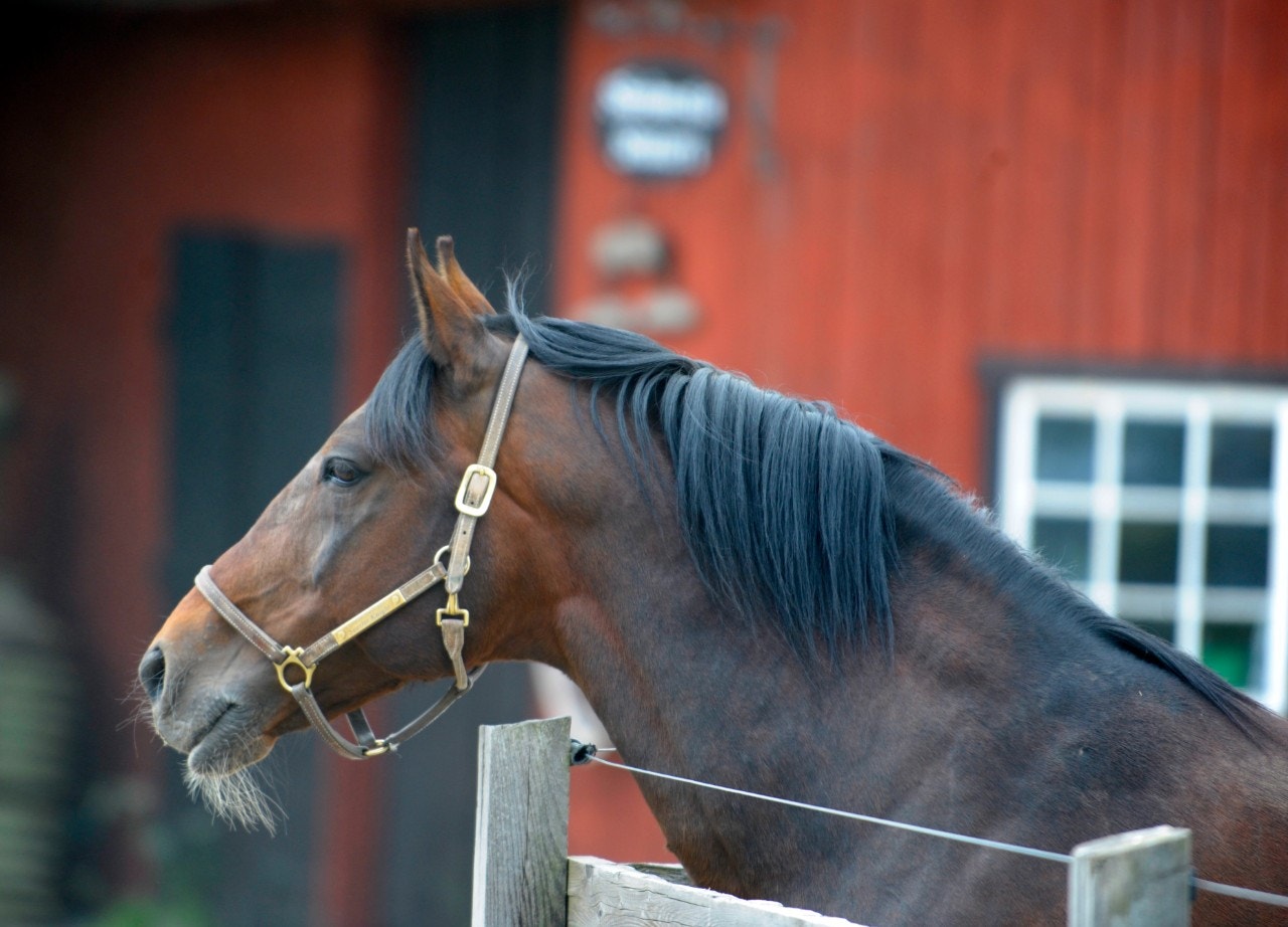 Knepigt när dotterbolaget utreder huvudägaren