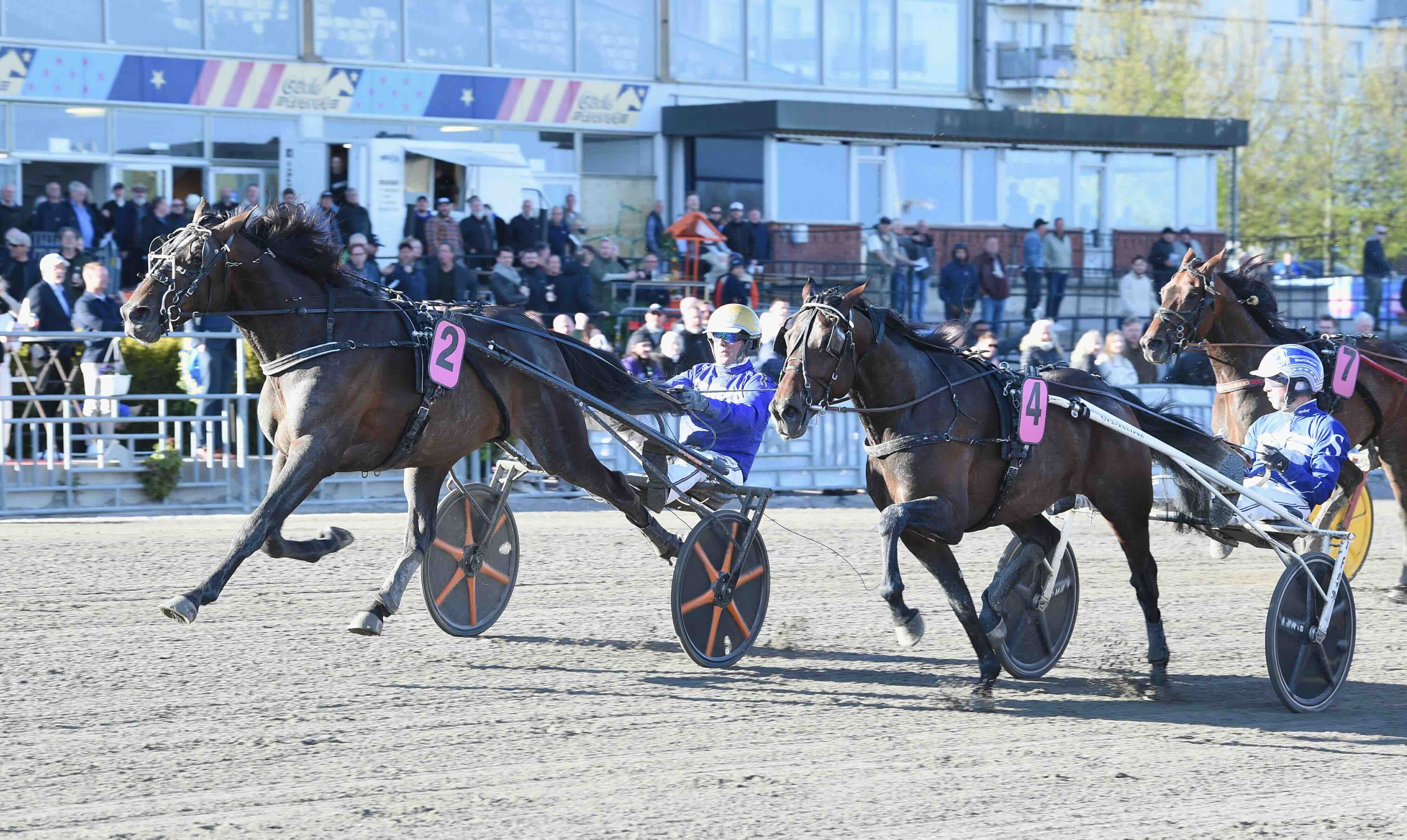 Chocken: Vinnaren stoppas – "blodvite"