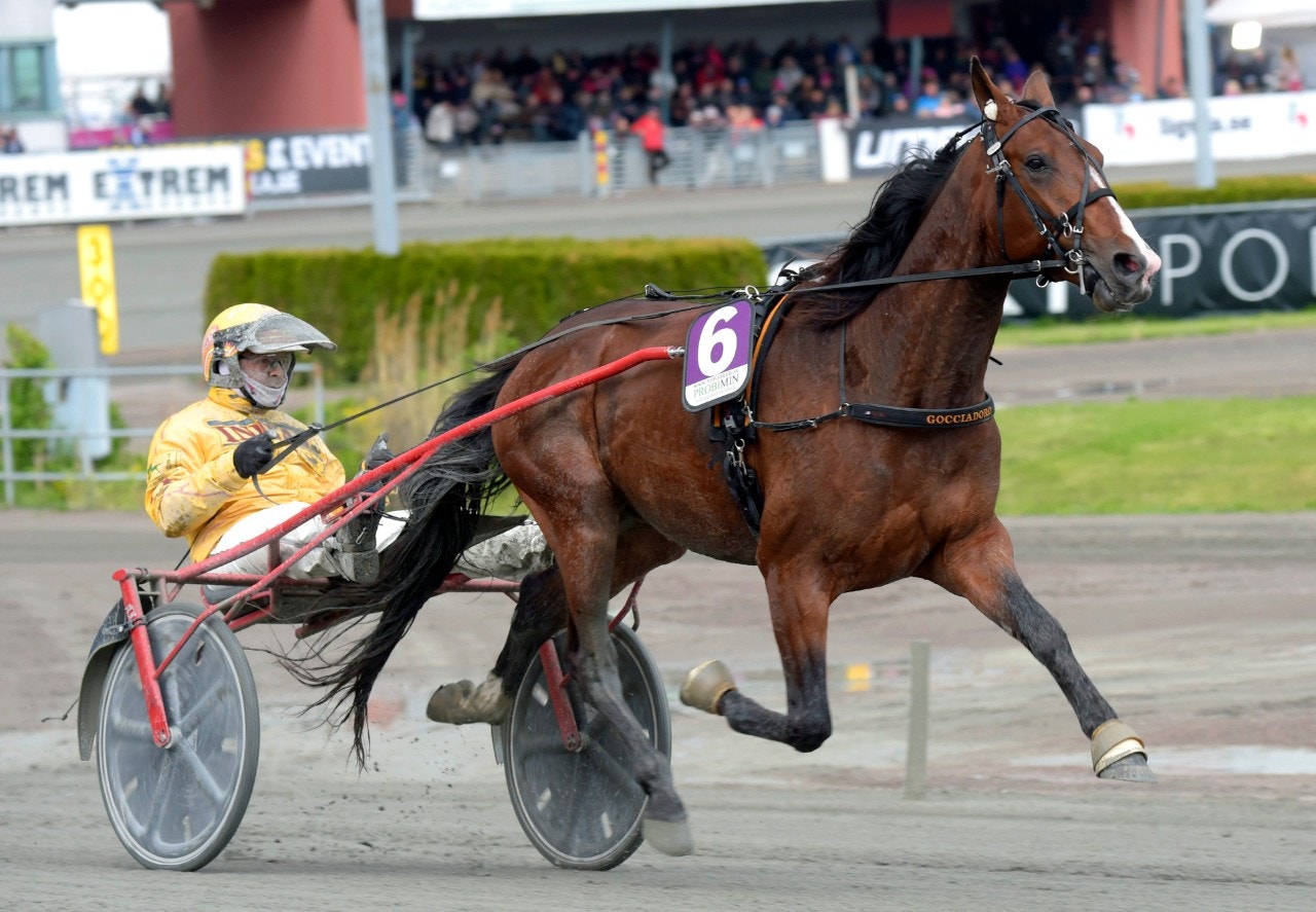 Axl Rose fick en enkel väg mot segern i Neapel. Foto: ALN