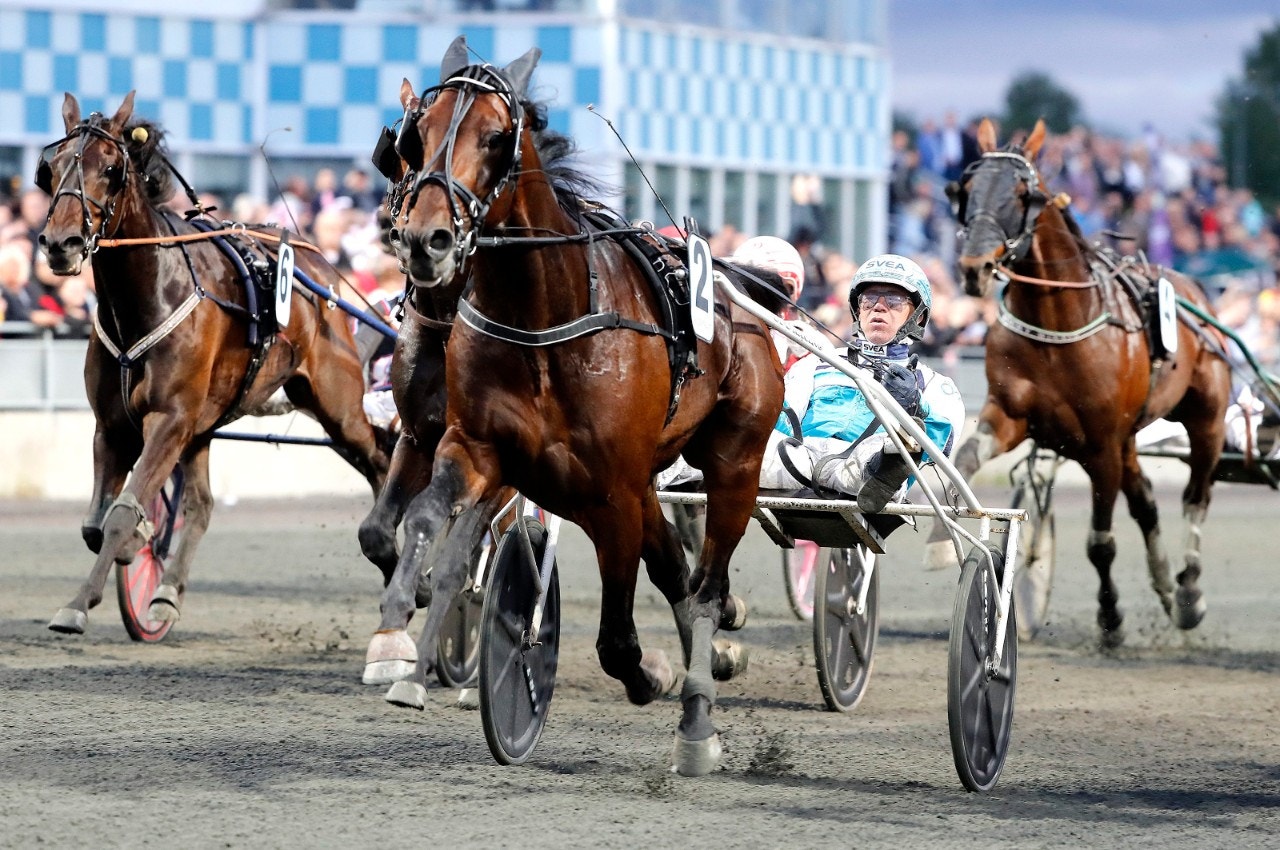 Halva förstapriset i Norrbottens Stora Pris