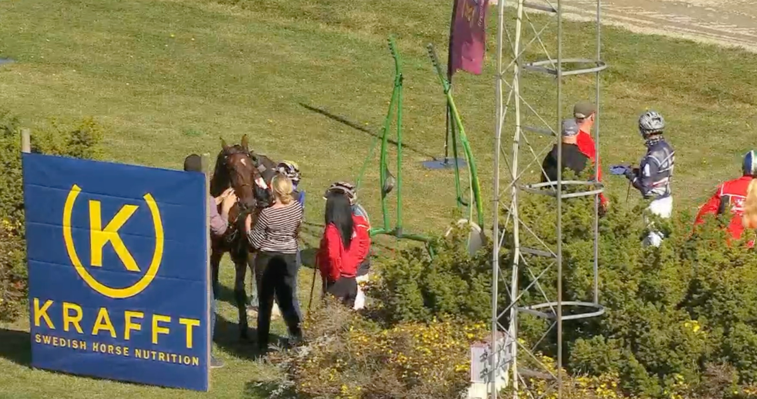 Det verkar gått bra för de inbladade. Foto: ATG Live