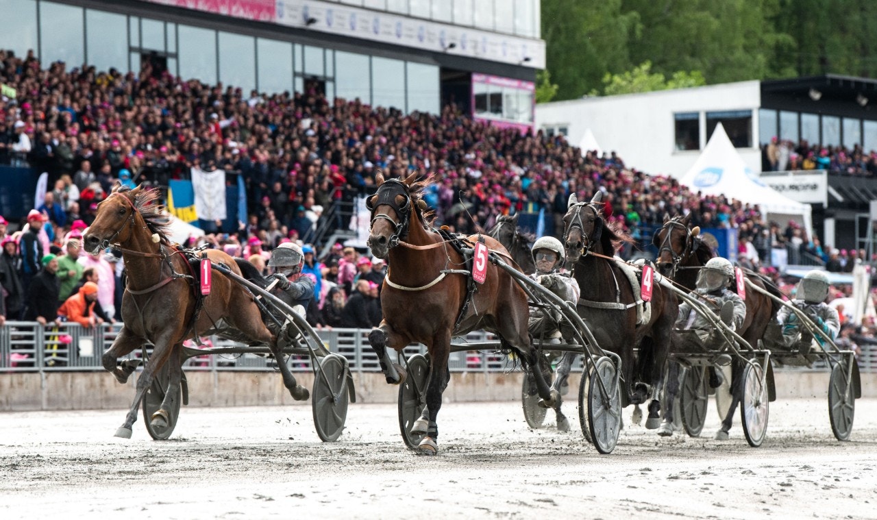 Elitloppet på kvällen