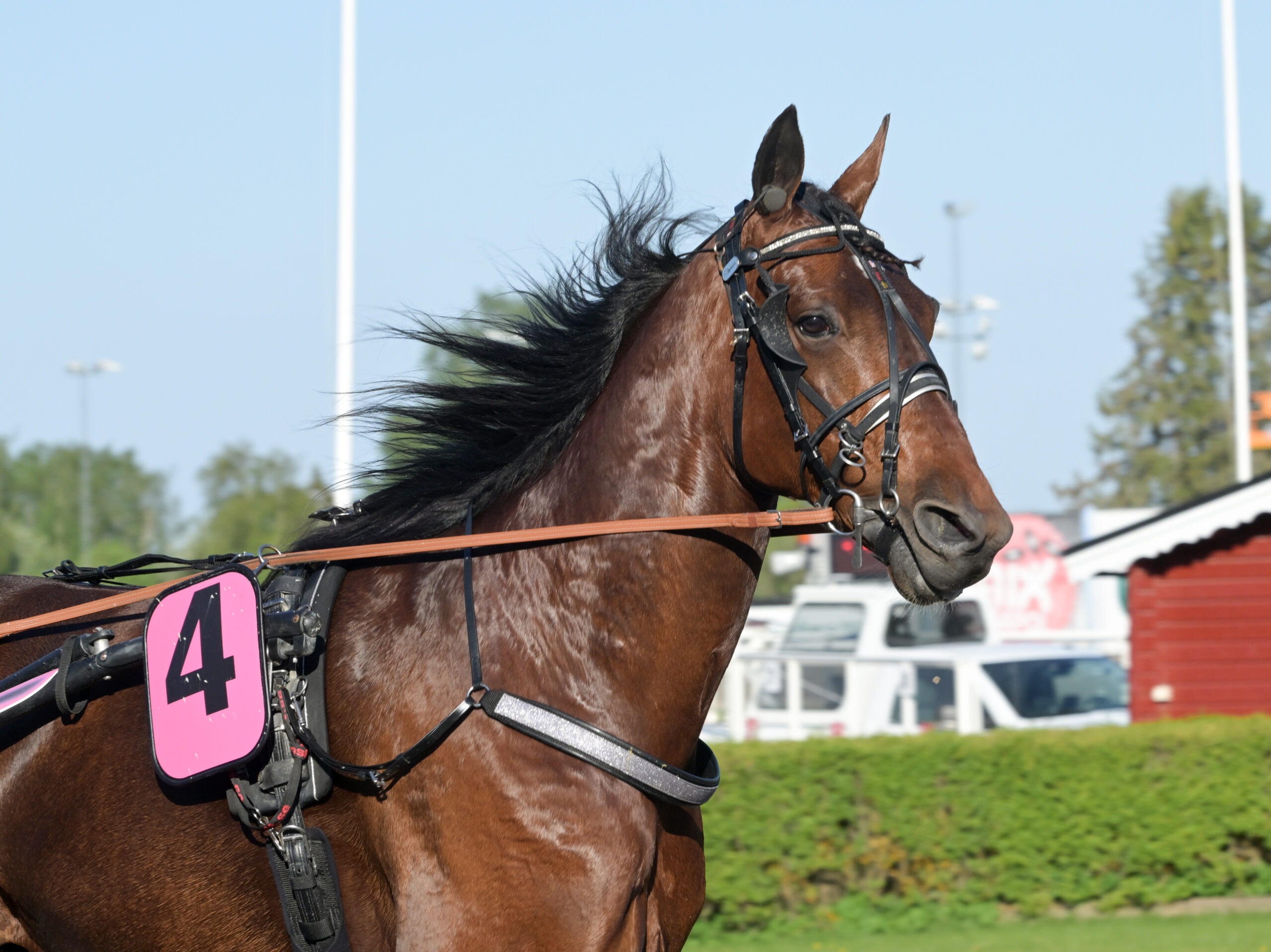 Foto: Lars Jakobsson/TR Bild