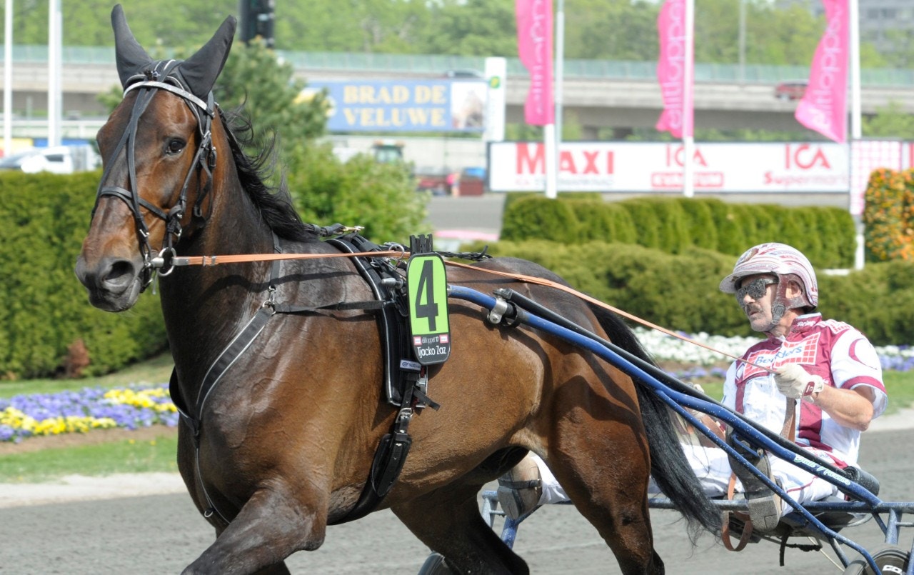 Tjacko Zaz med John Campbell inför Elitloppet 2017. Foto: Leif Norberg, ALN
