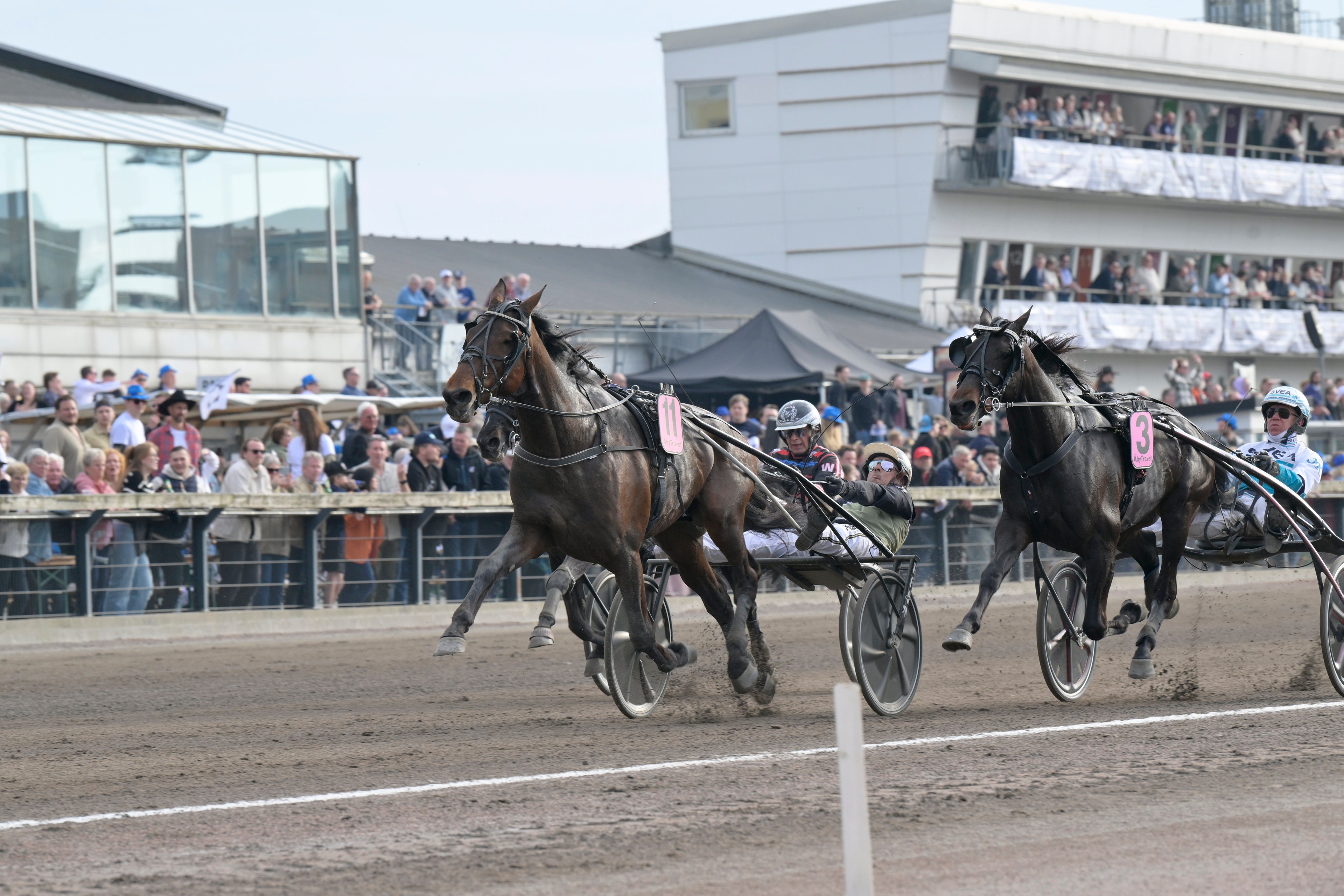 Två travhästar med kuskar i sulkyvagnar under ett lopp på travbanan. Publik sitter längs banan och följer tävlingen.