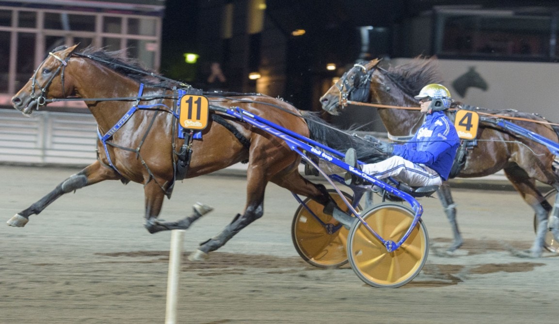 San Moteur kommer till Kriteriet med en obruten segerrad. Foto: Tommy Andersson, ALN