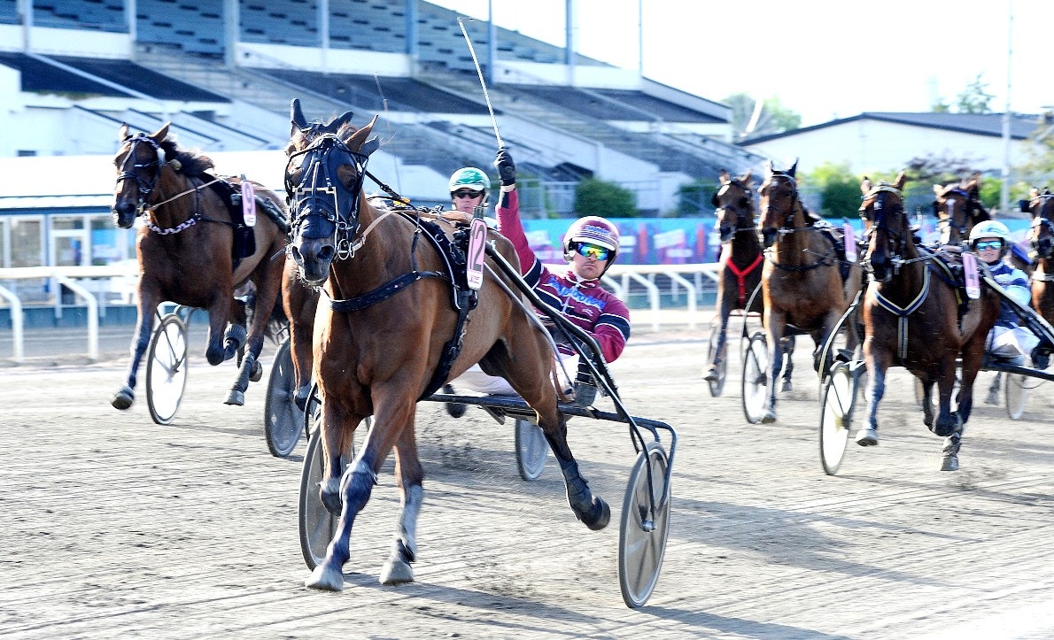 Jägersro 13 oktober: Farlander Am - bra varje gång